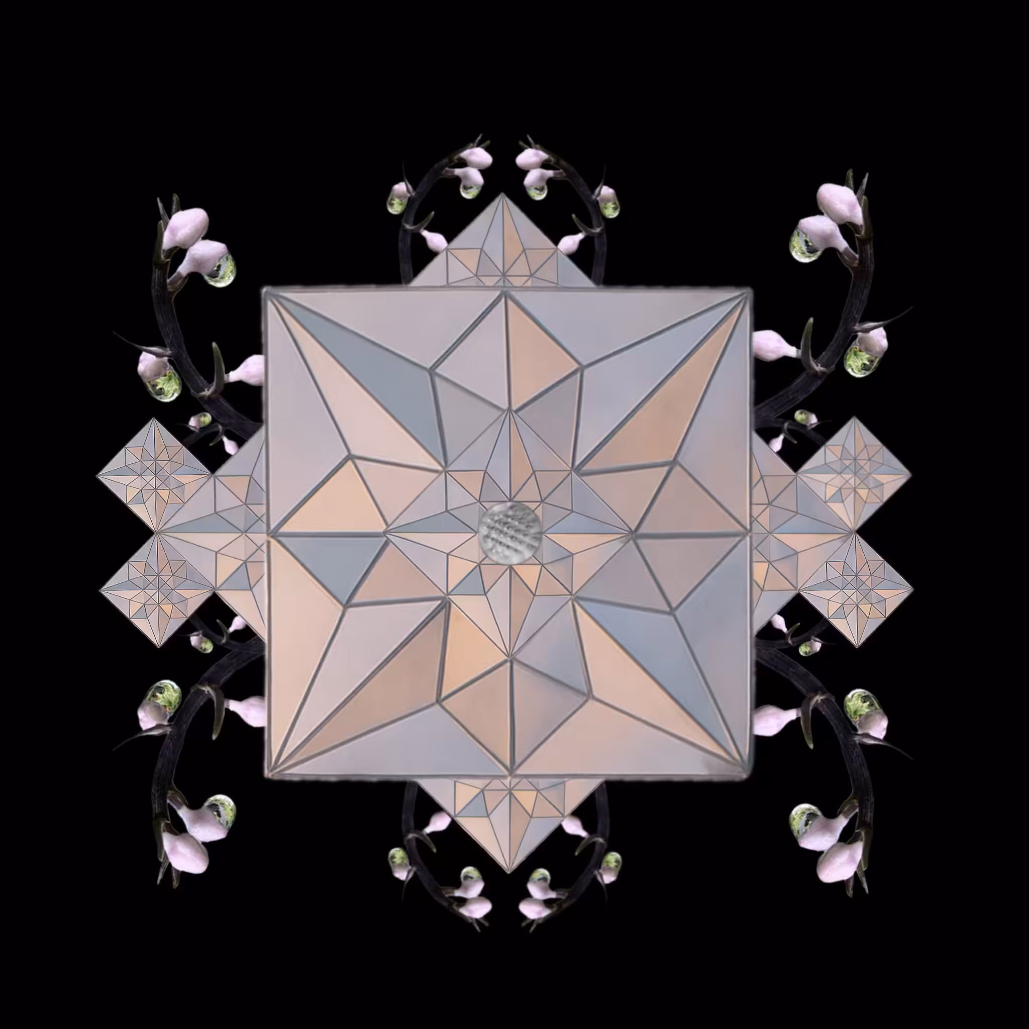 Symmetria Blossoma