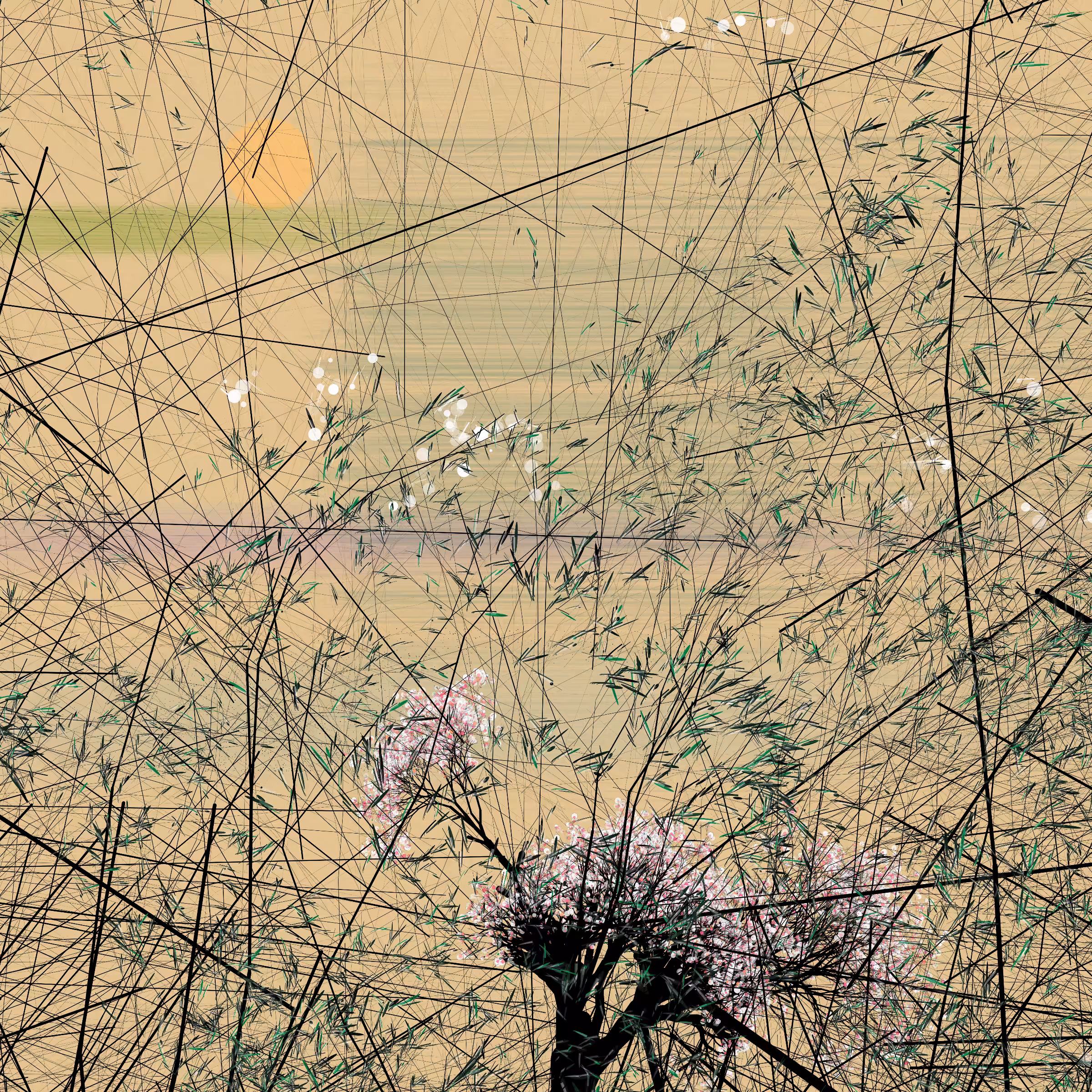 conversation with the wind #877