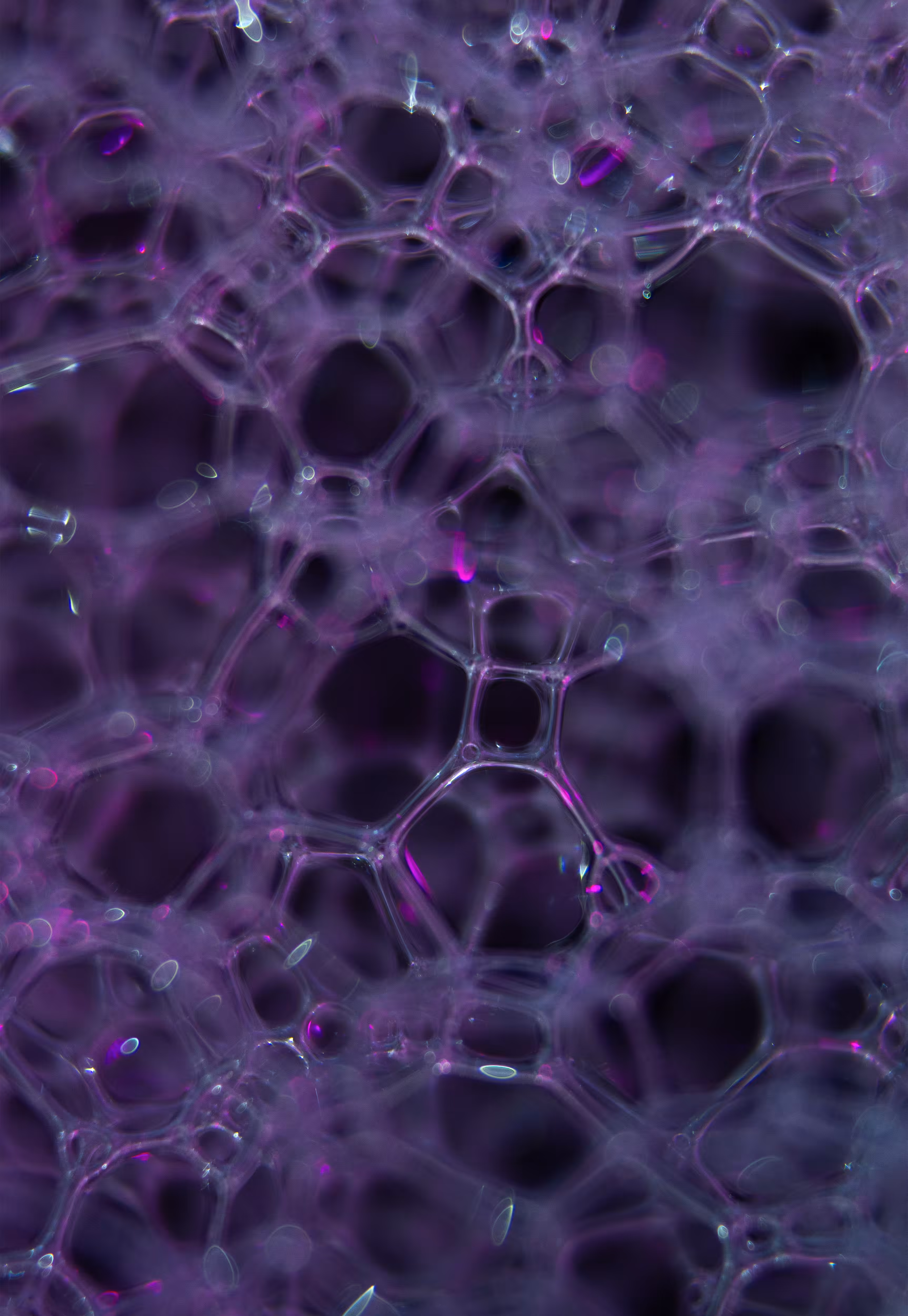 Abstract World of Soap Bubbles: #132 Bubbles