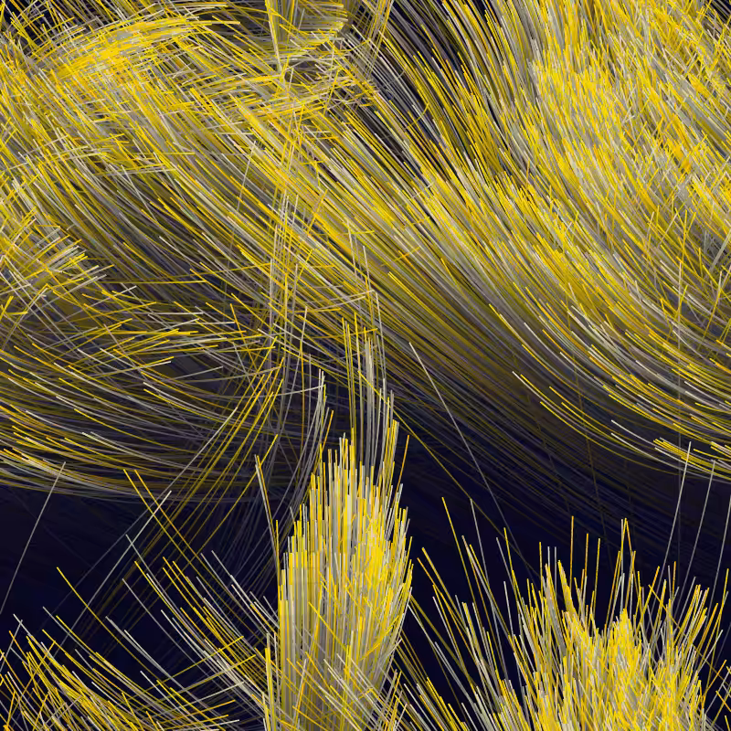 Strange Attractor Swarm #31