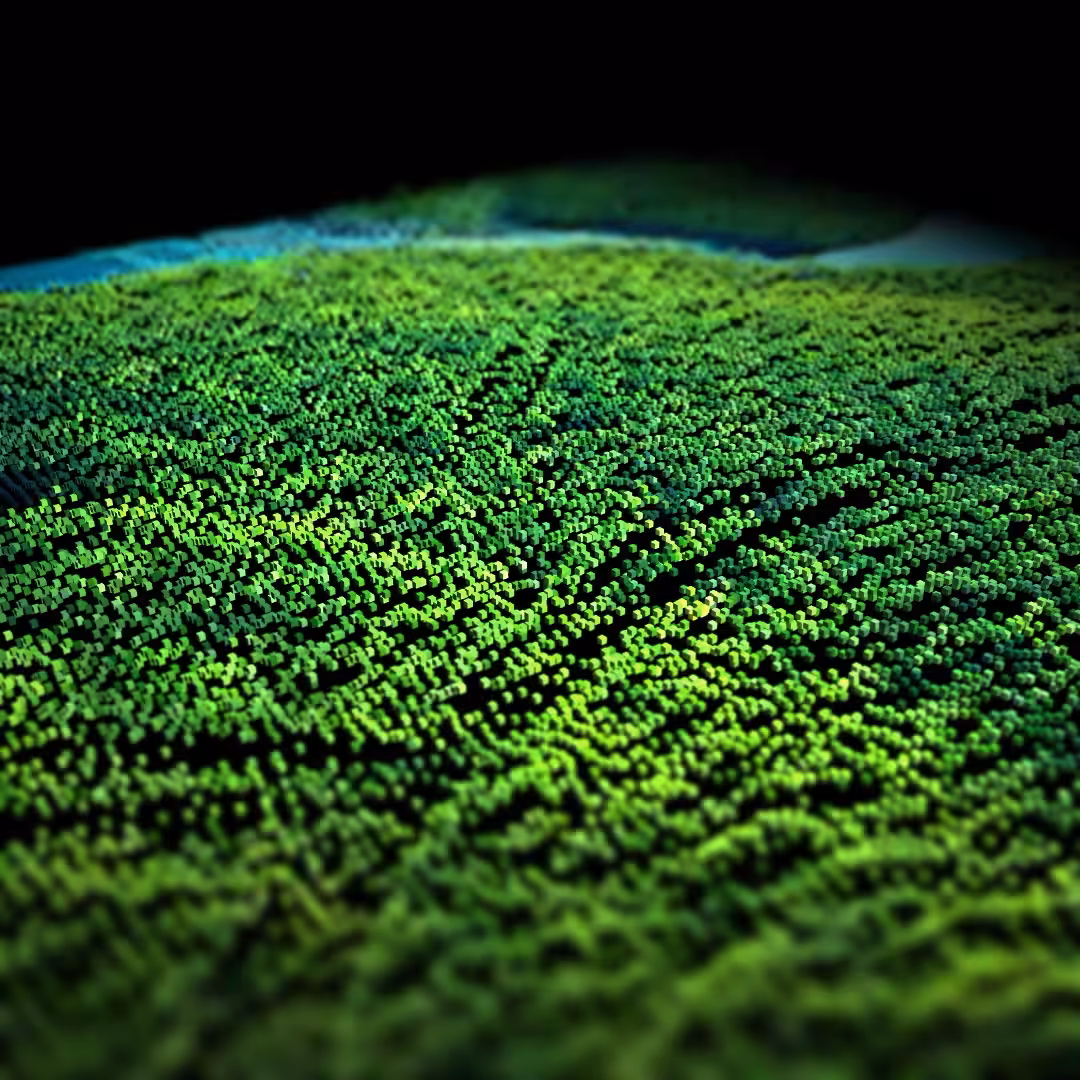 Amazônia 01