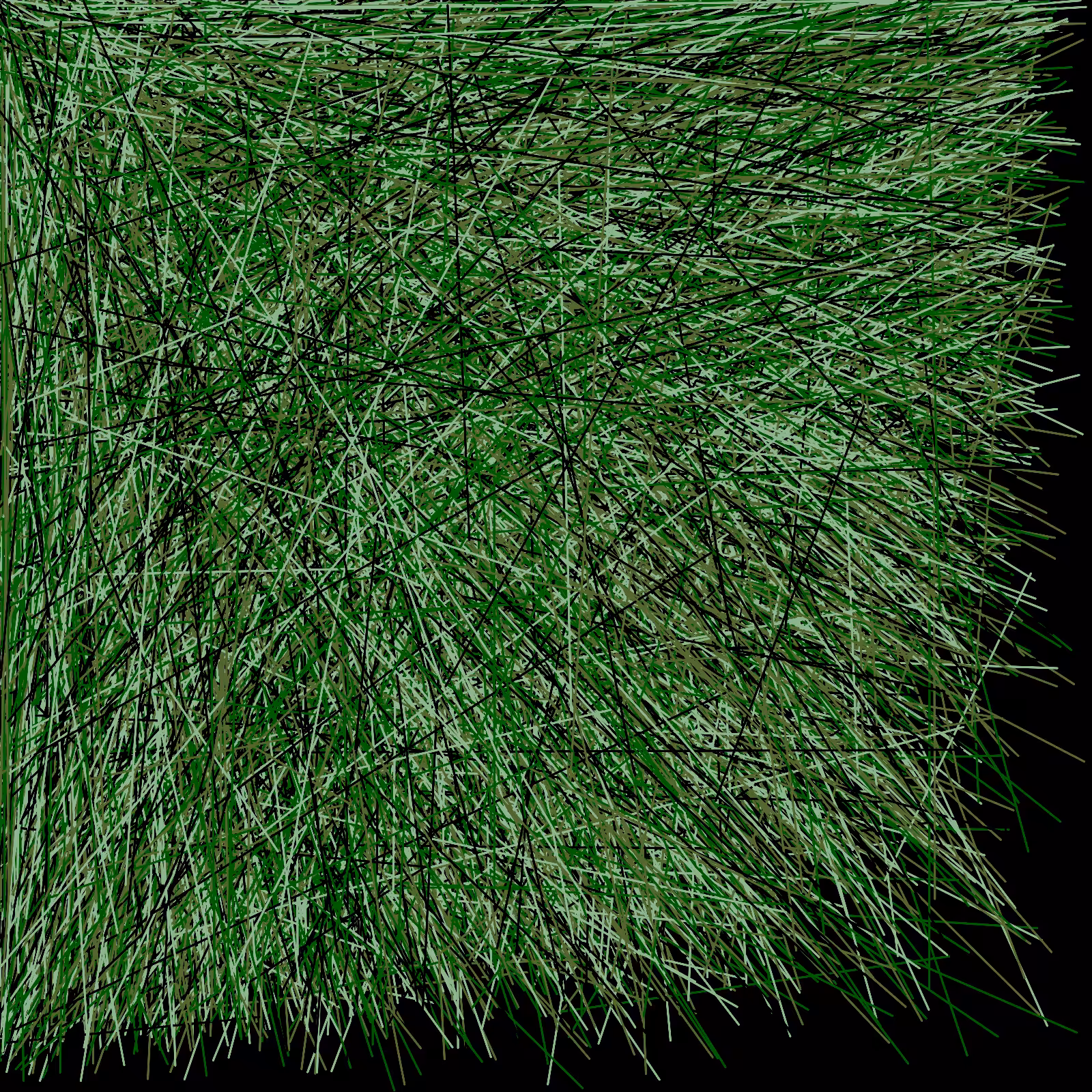 Spun Lines #3
