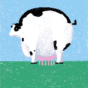 cow #195
