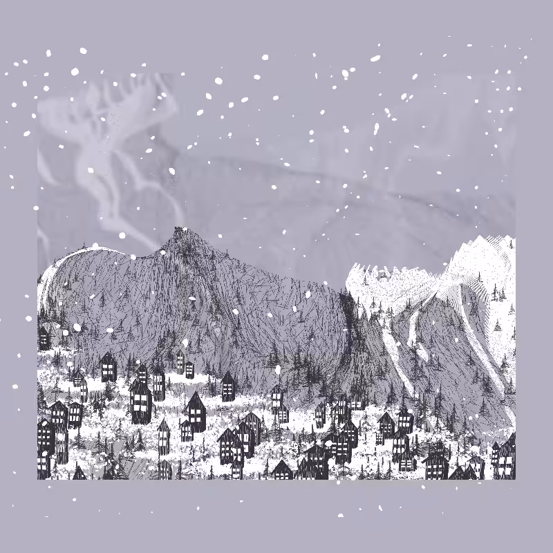 White Mountain Winter #49