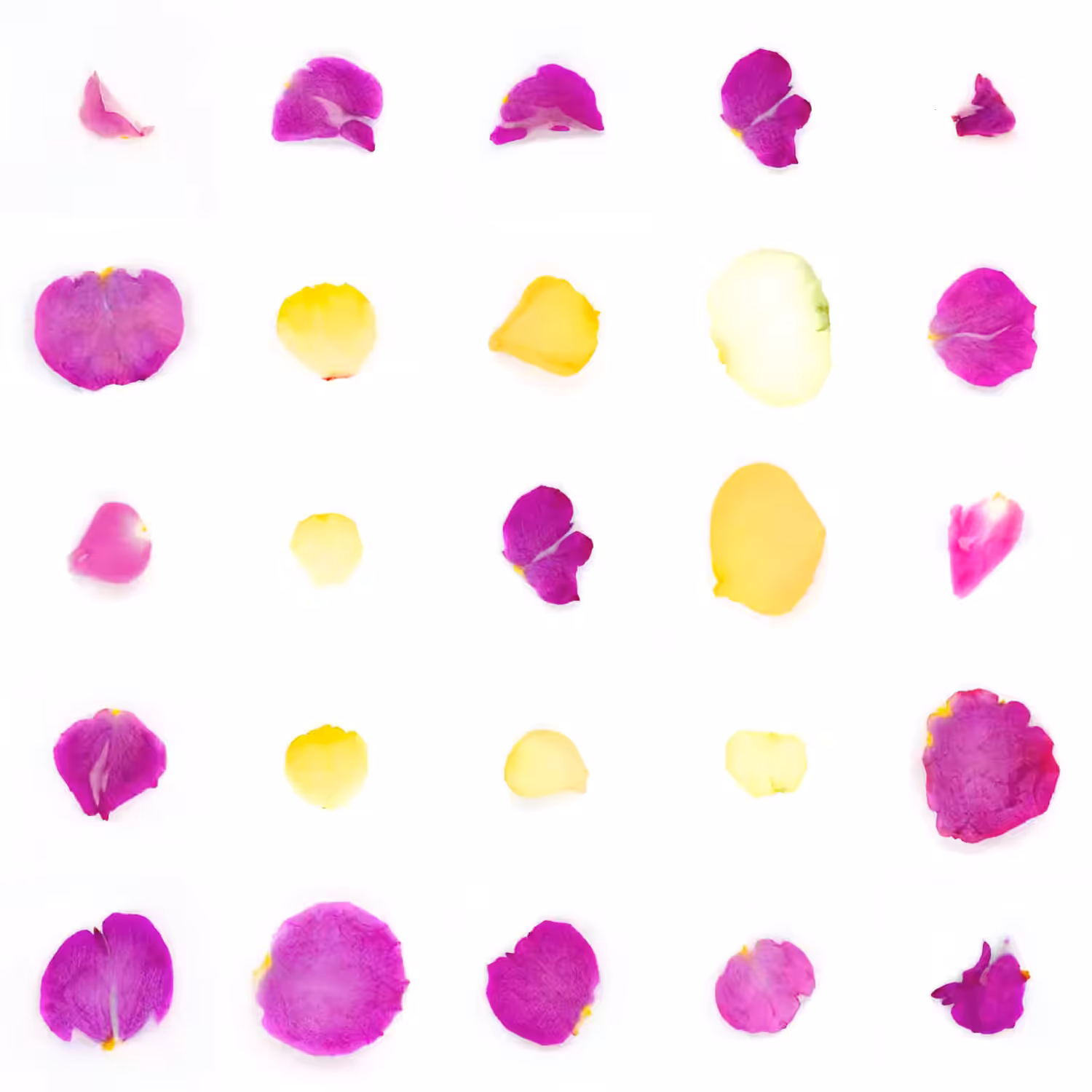 Infinite Petals 5x5#20371