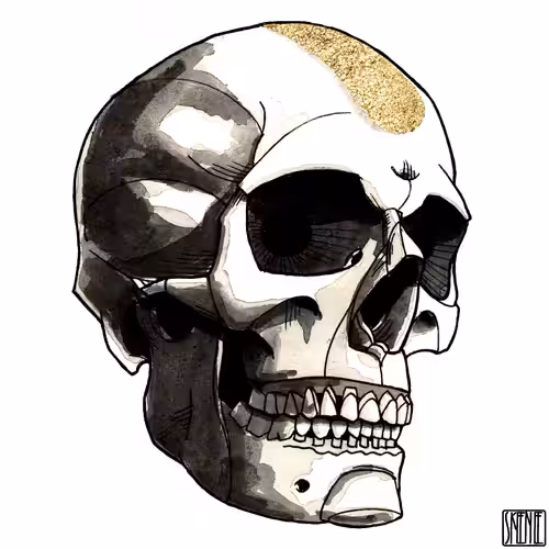 🎨39 | INK & GOLD | Human Skull 06