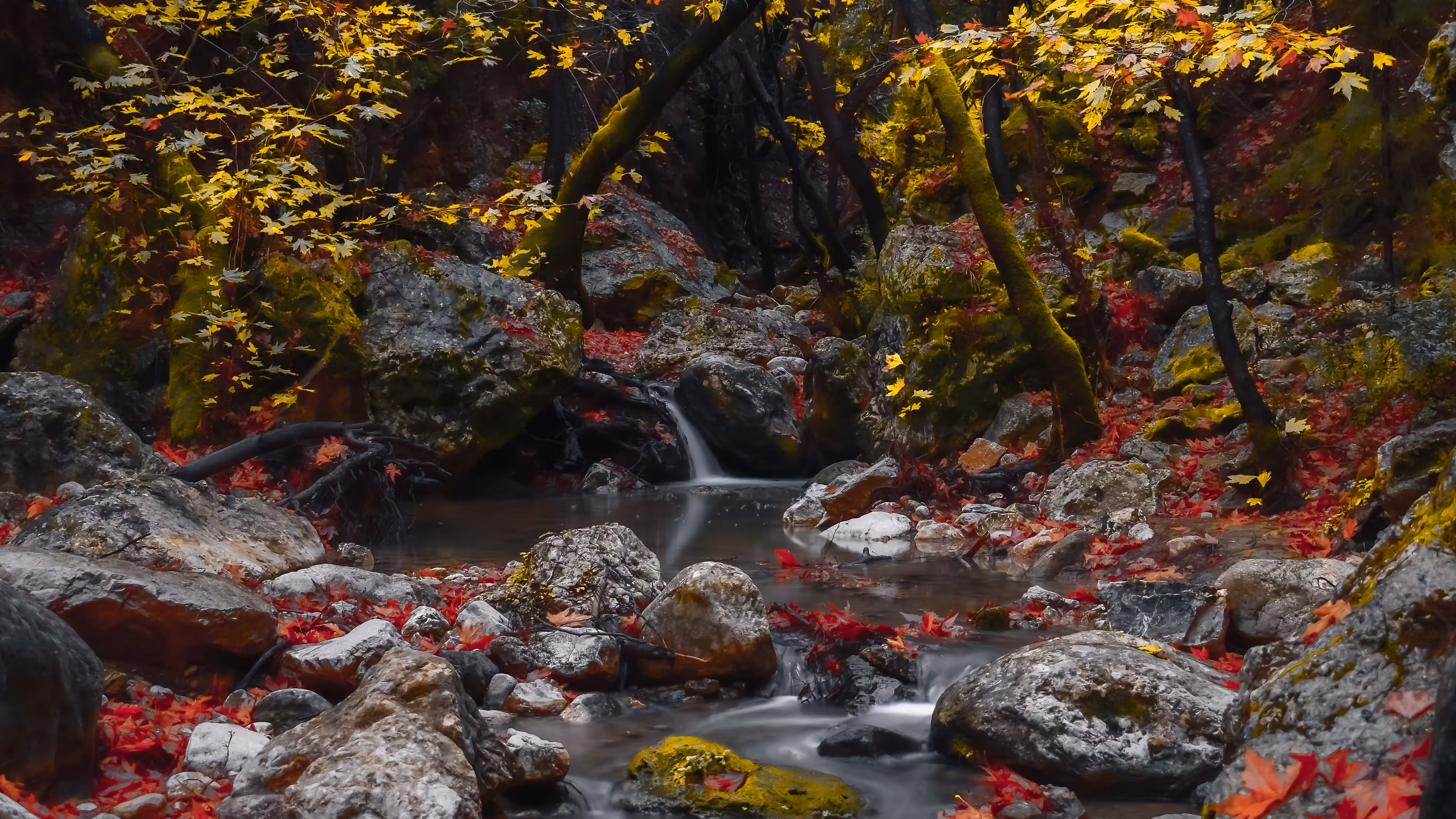 Autumn's Spell