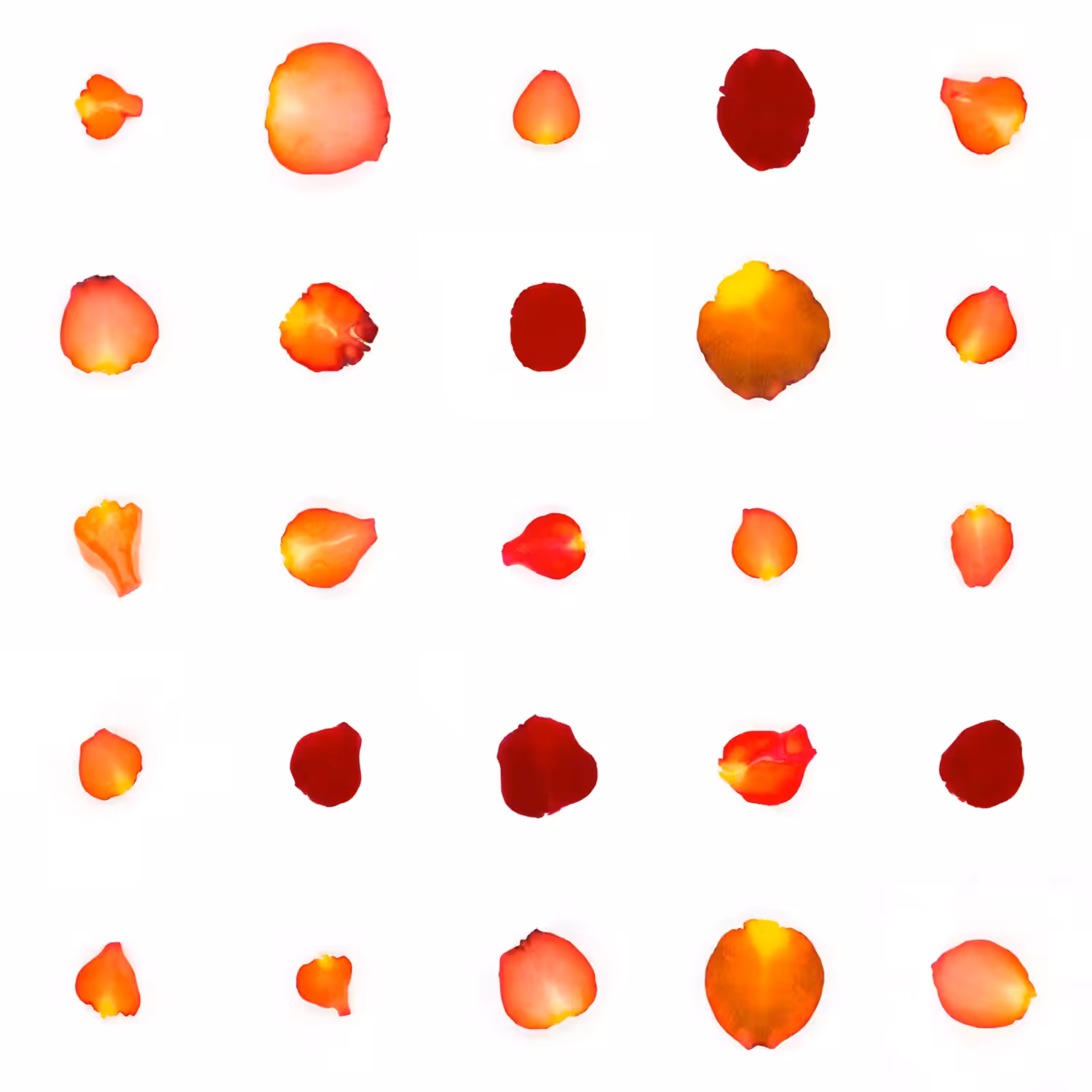Infinite Petals 5x5#20620