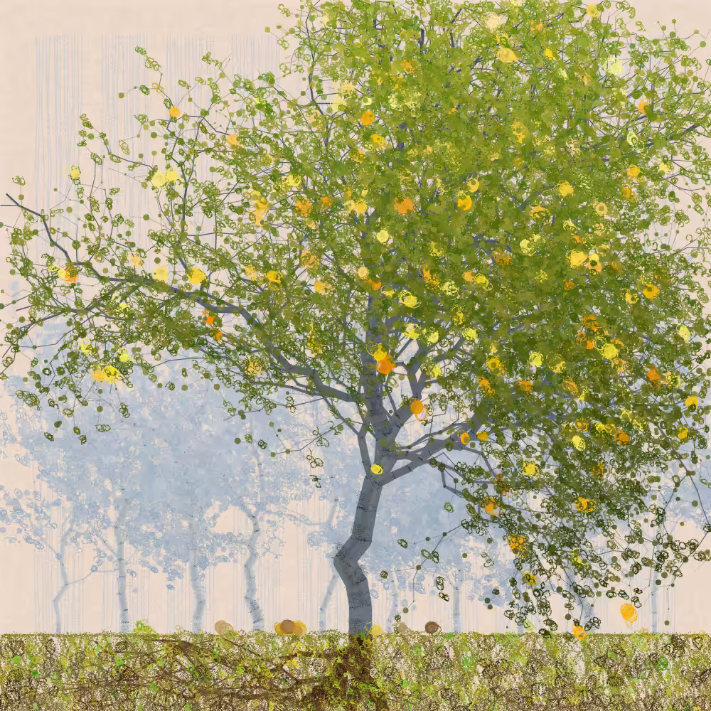 Orchard #246