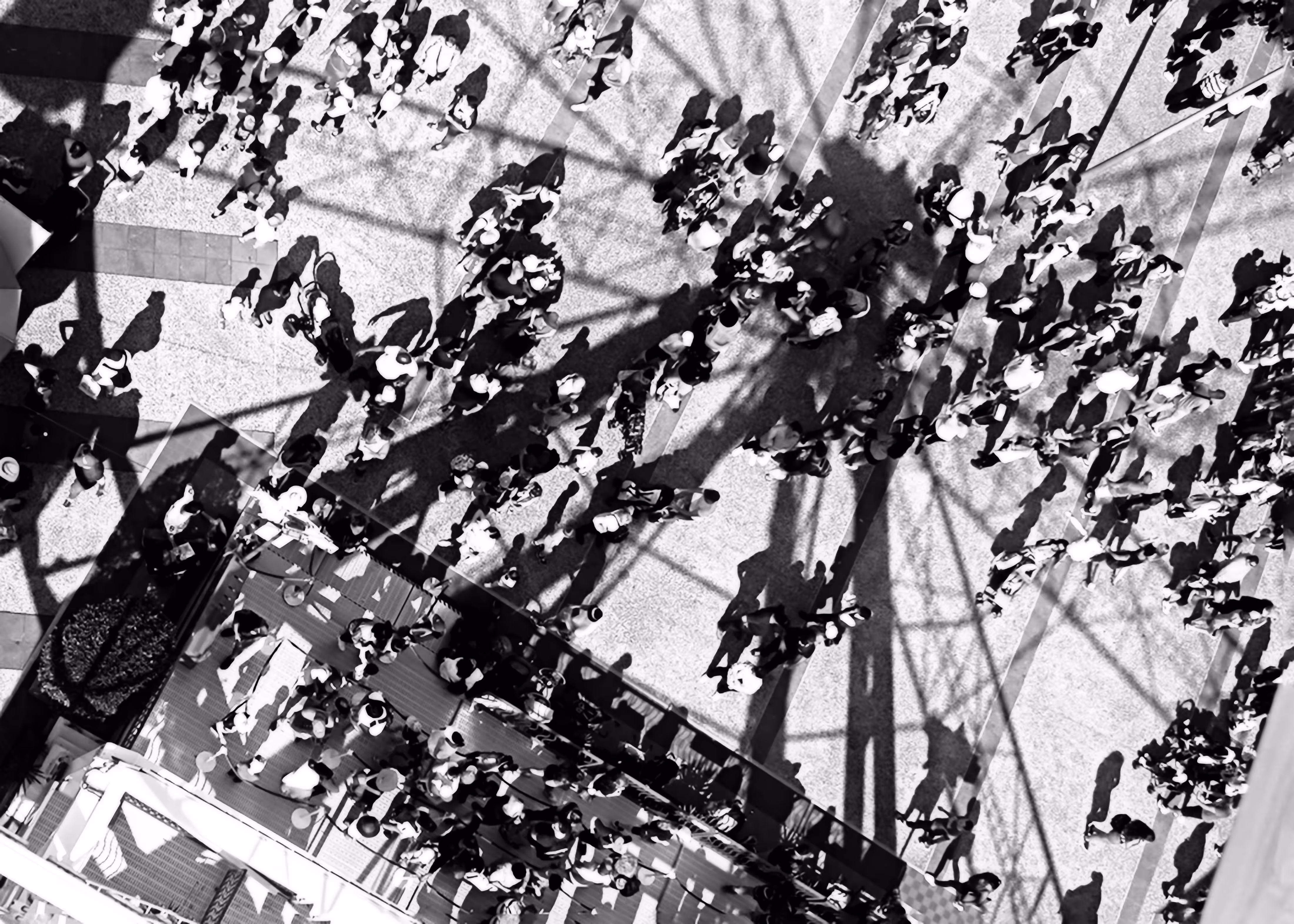 The Shadows