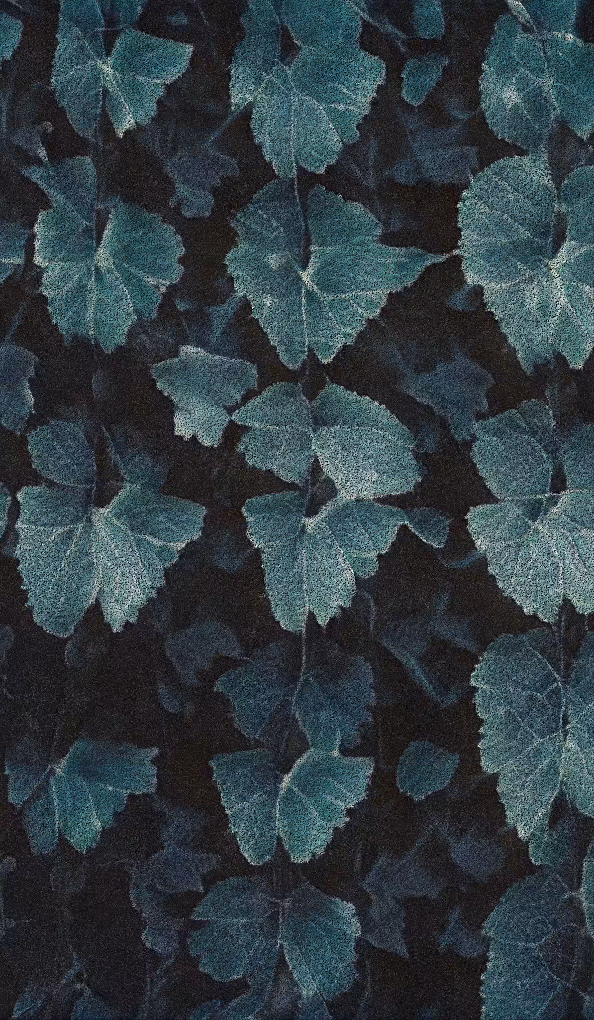 APPARATUS-VITIS: Apparatus Vitis #7