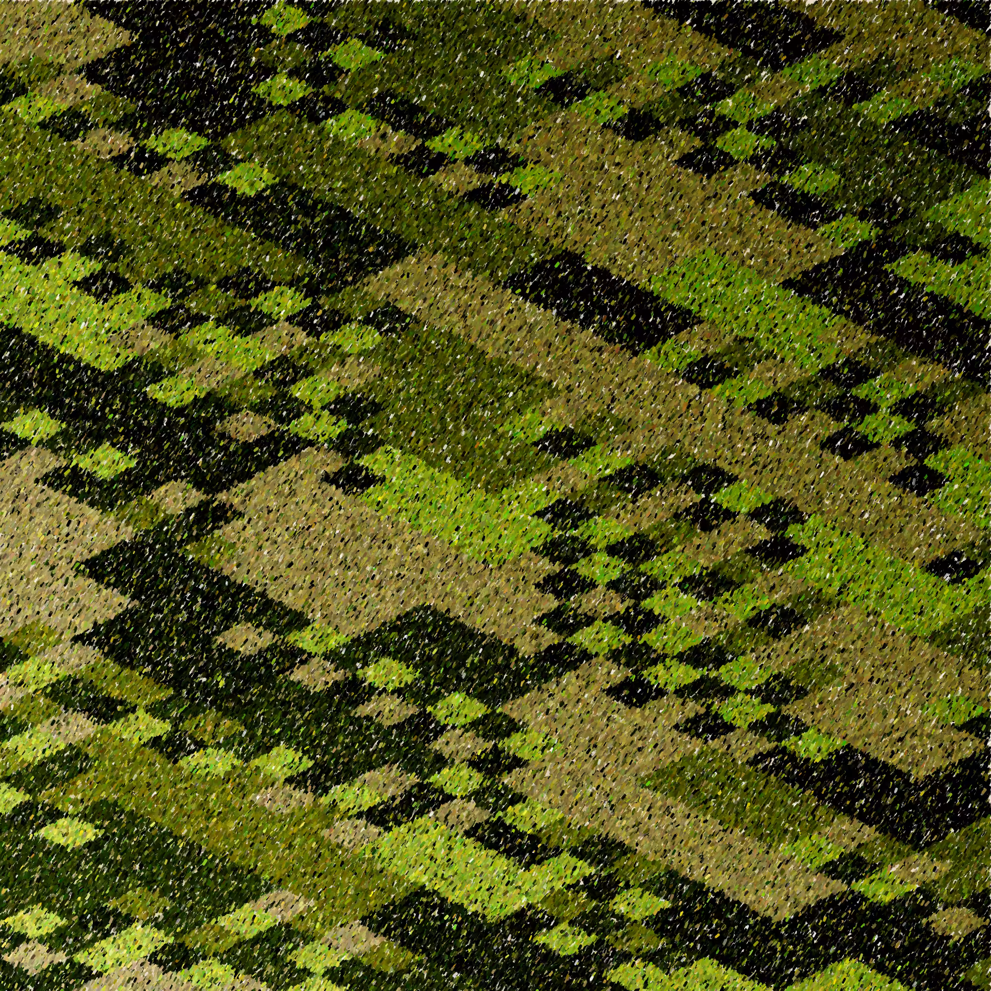 Agave & Patchwork #469