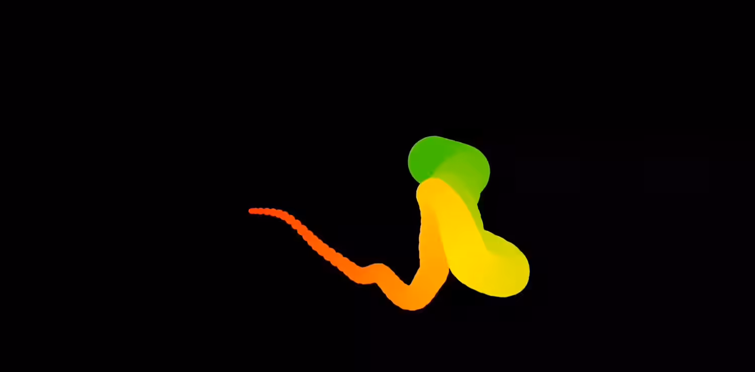 evolution (Molt)