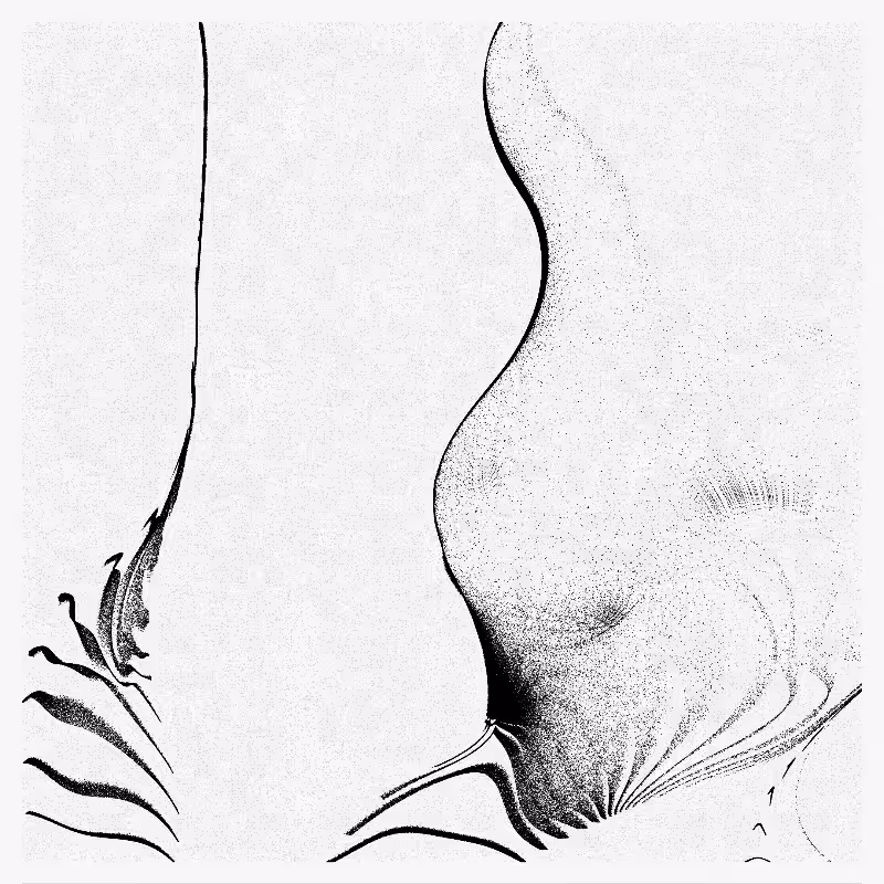 traces #6