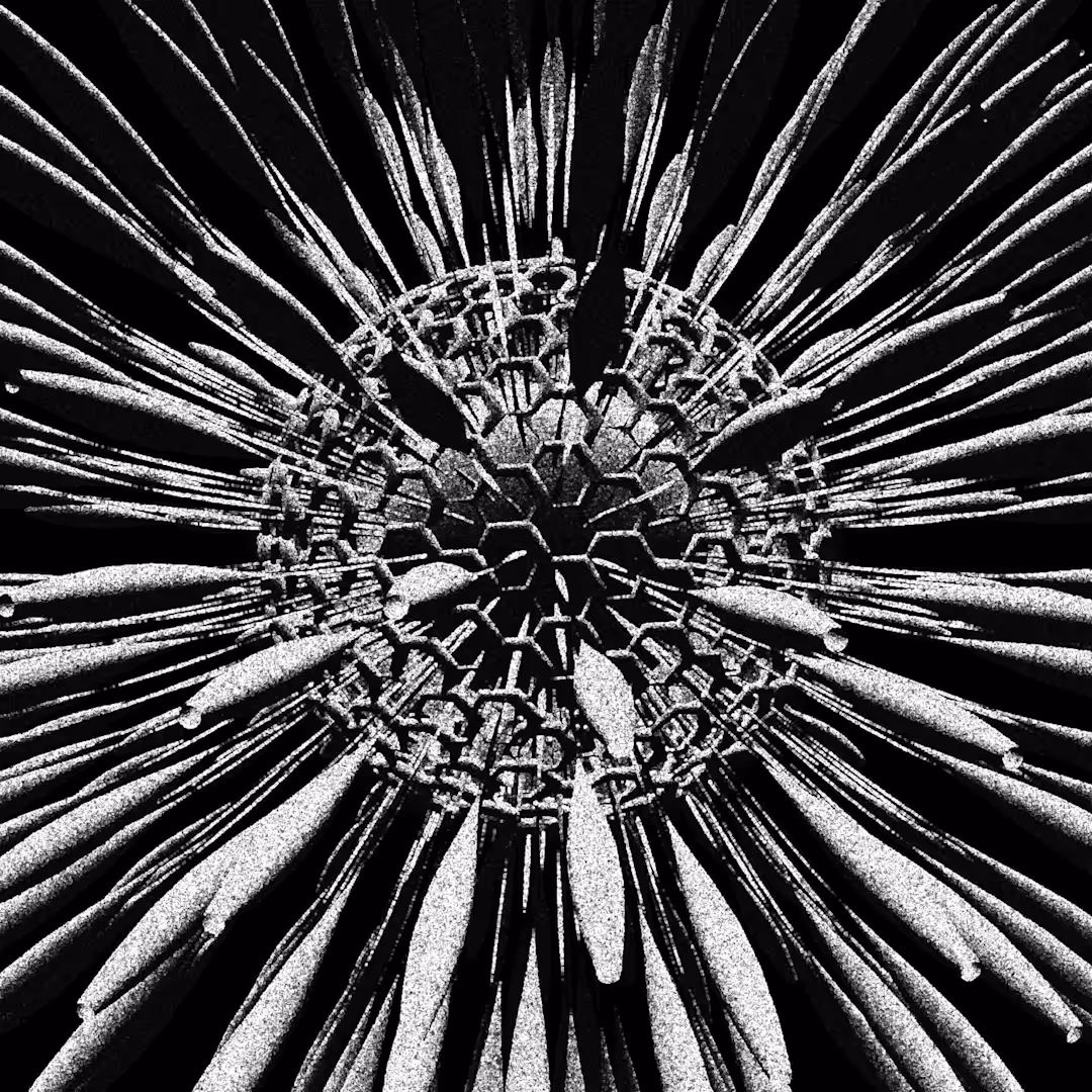 Radiolaria rotating on its axis - m/m06