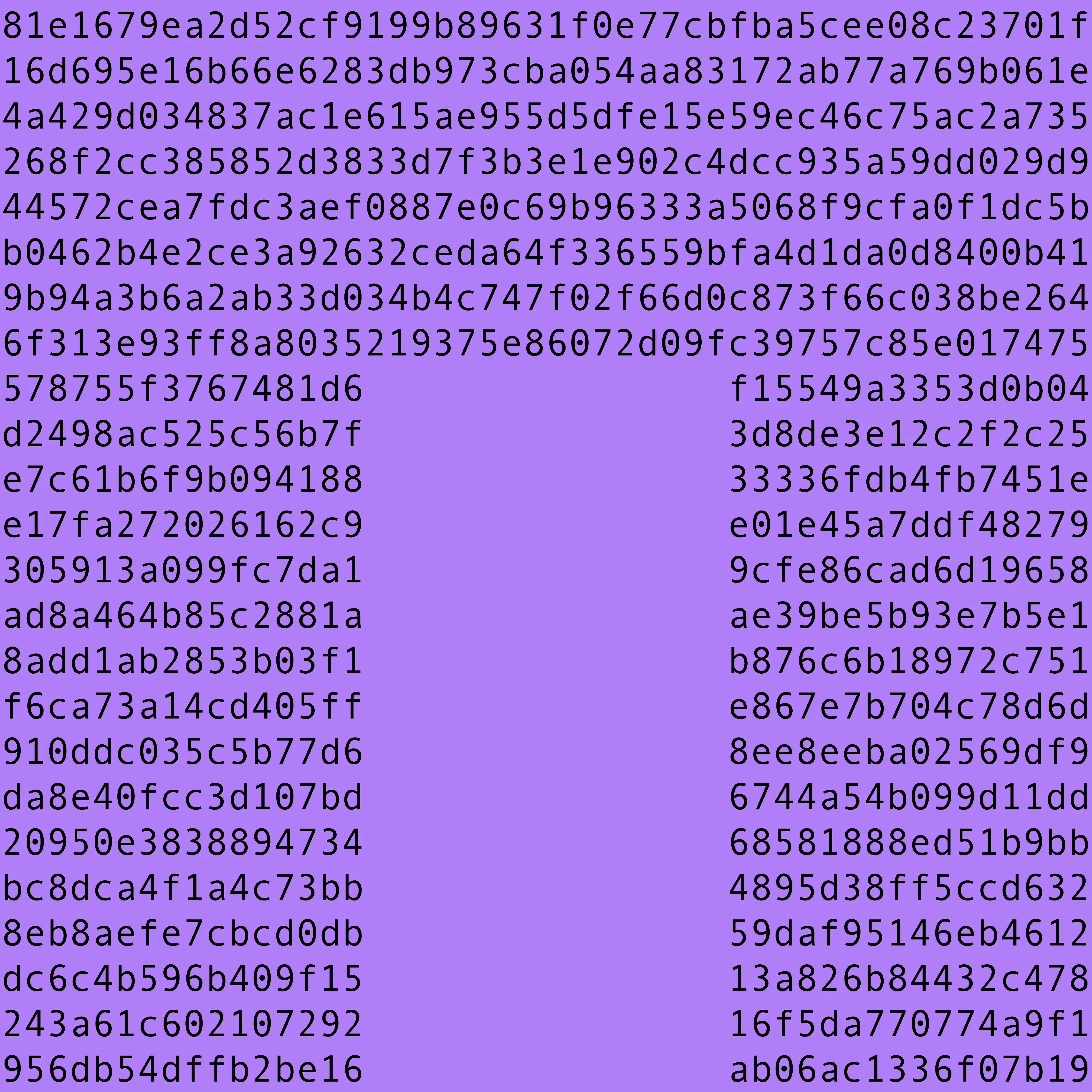 1111 #0249