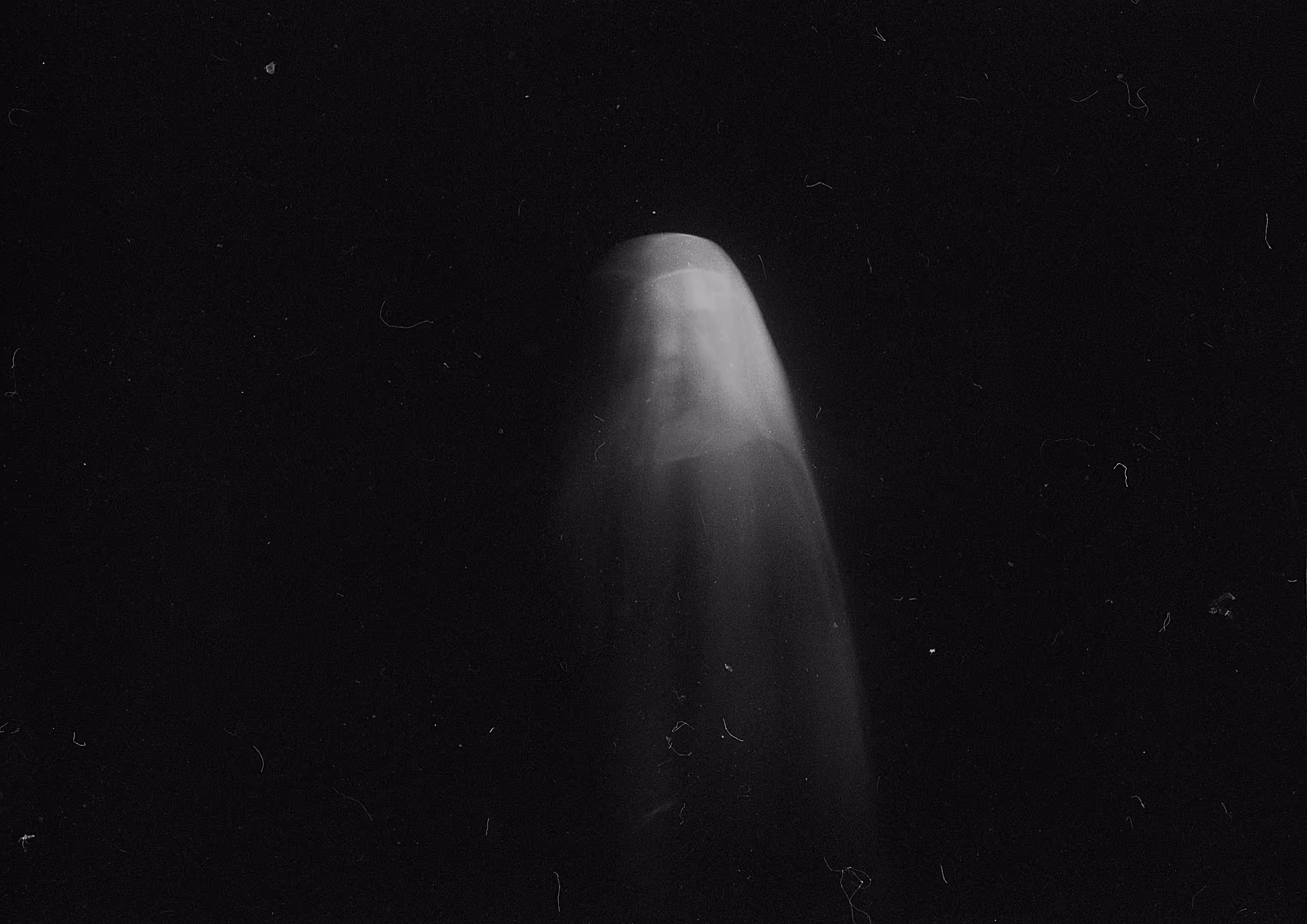 Dust of Sorrow #2