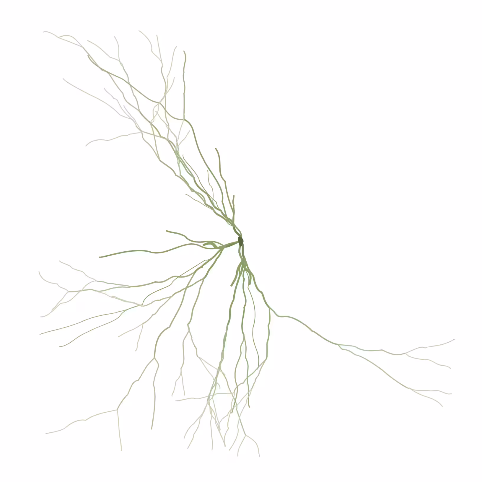 Ghost Forest Seedlings: Ghost Forest Seedling #253