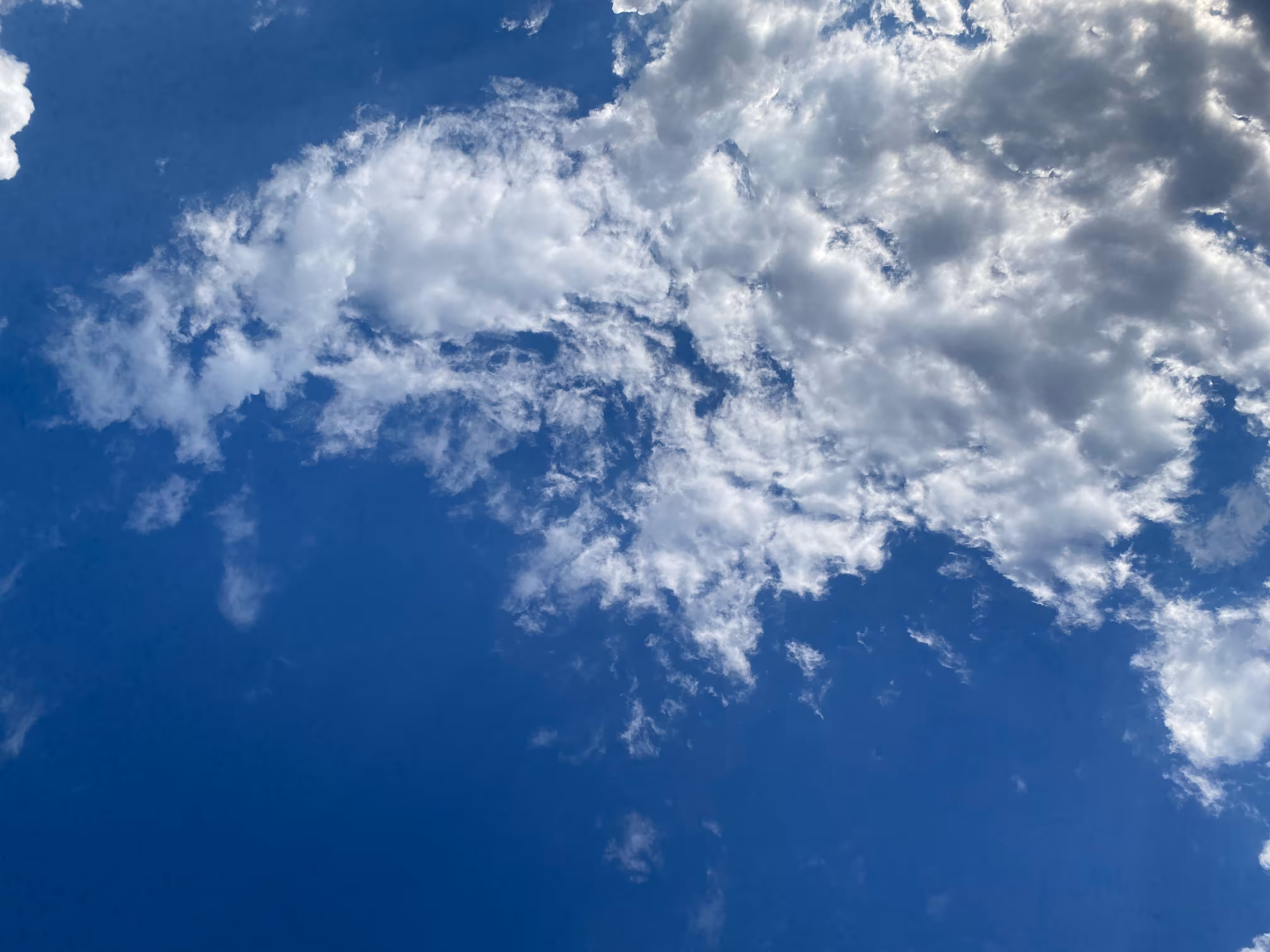 Partly Clear
