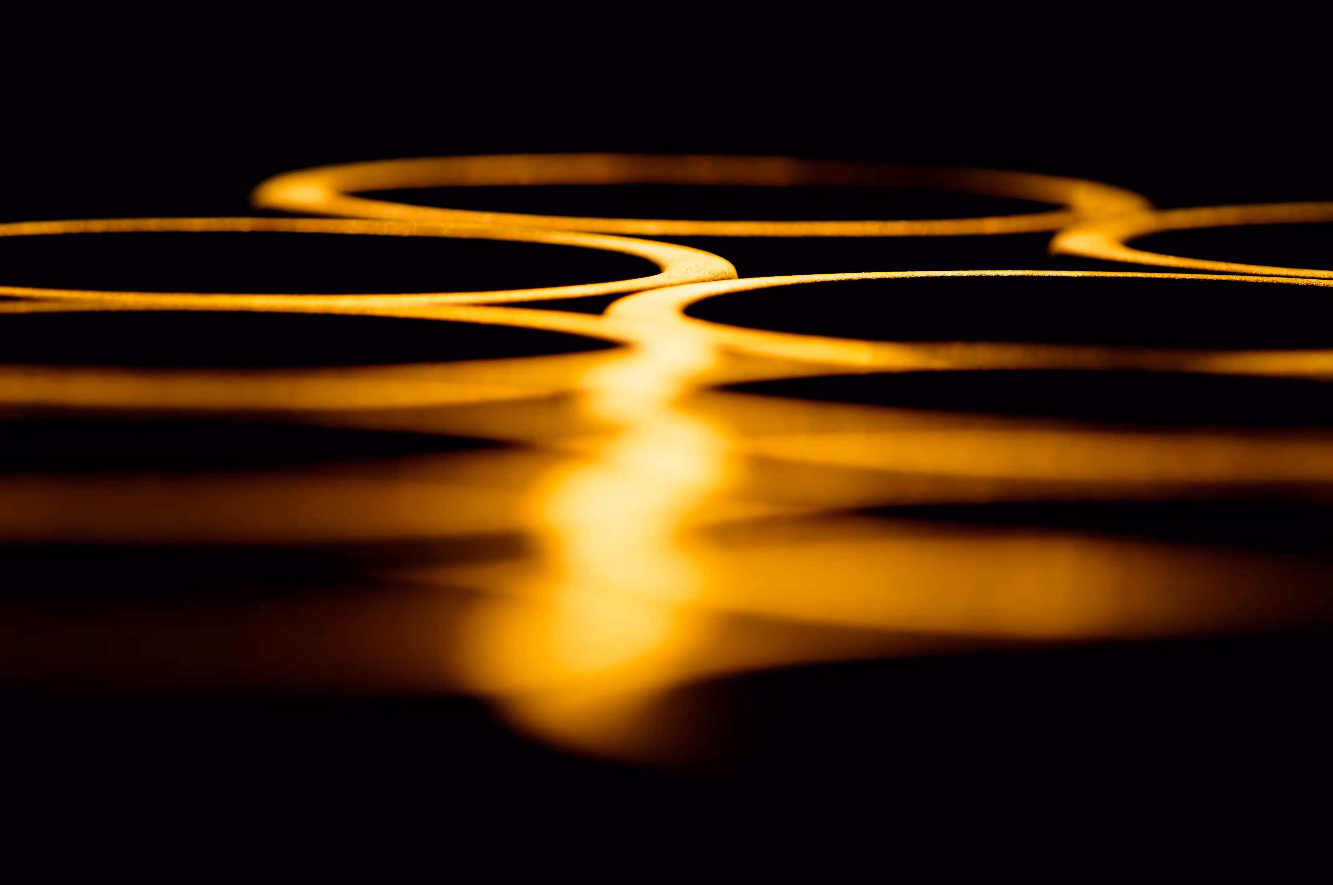 Reflection in Morning 