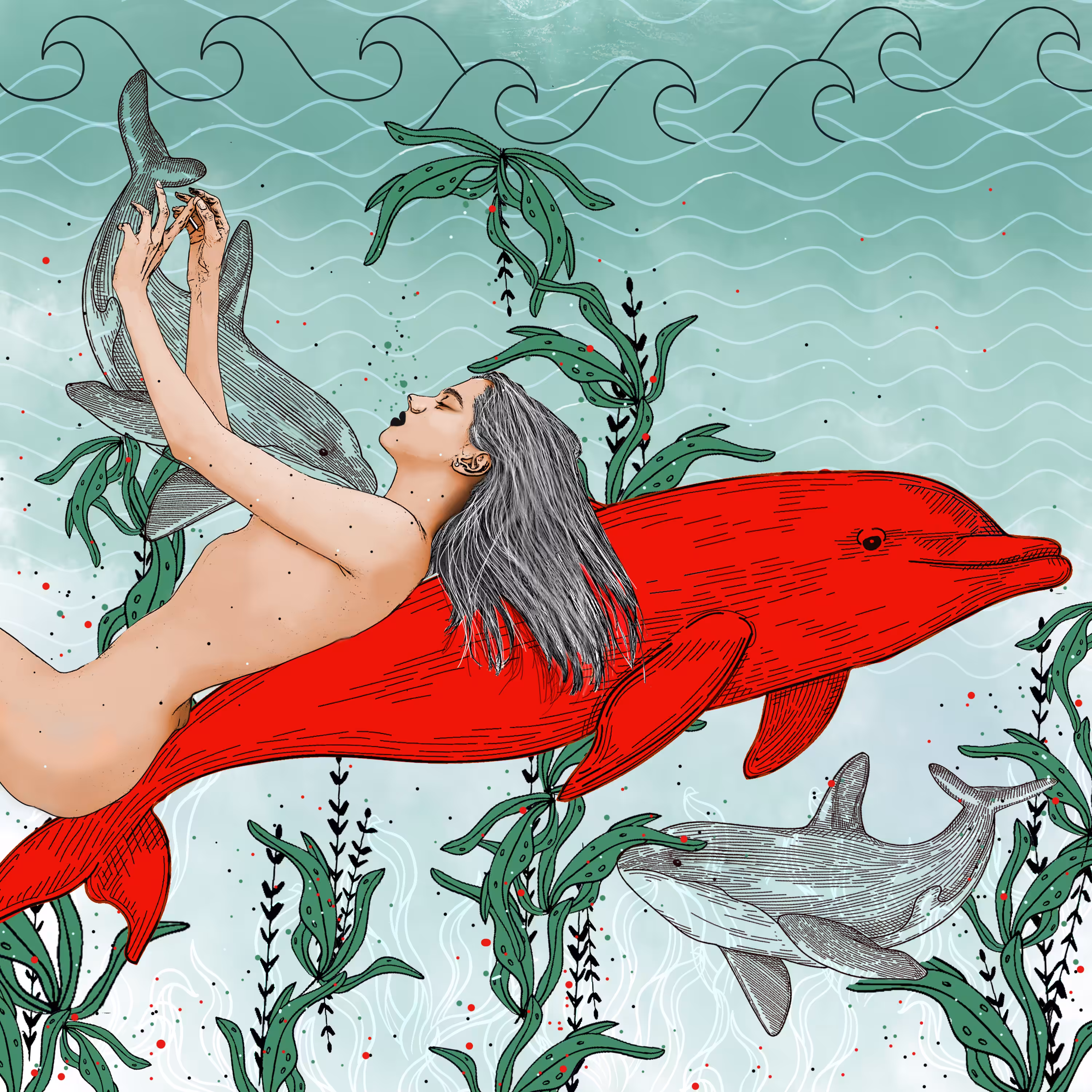 ITWN:OE: A letter to Dolphin