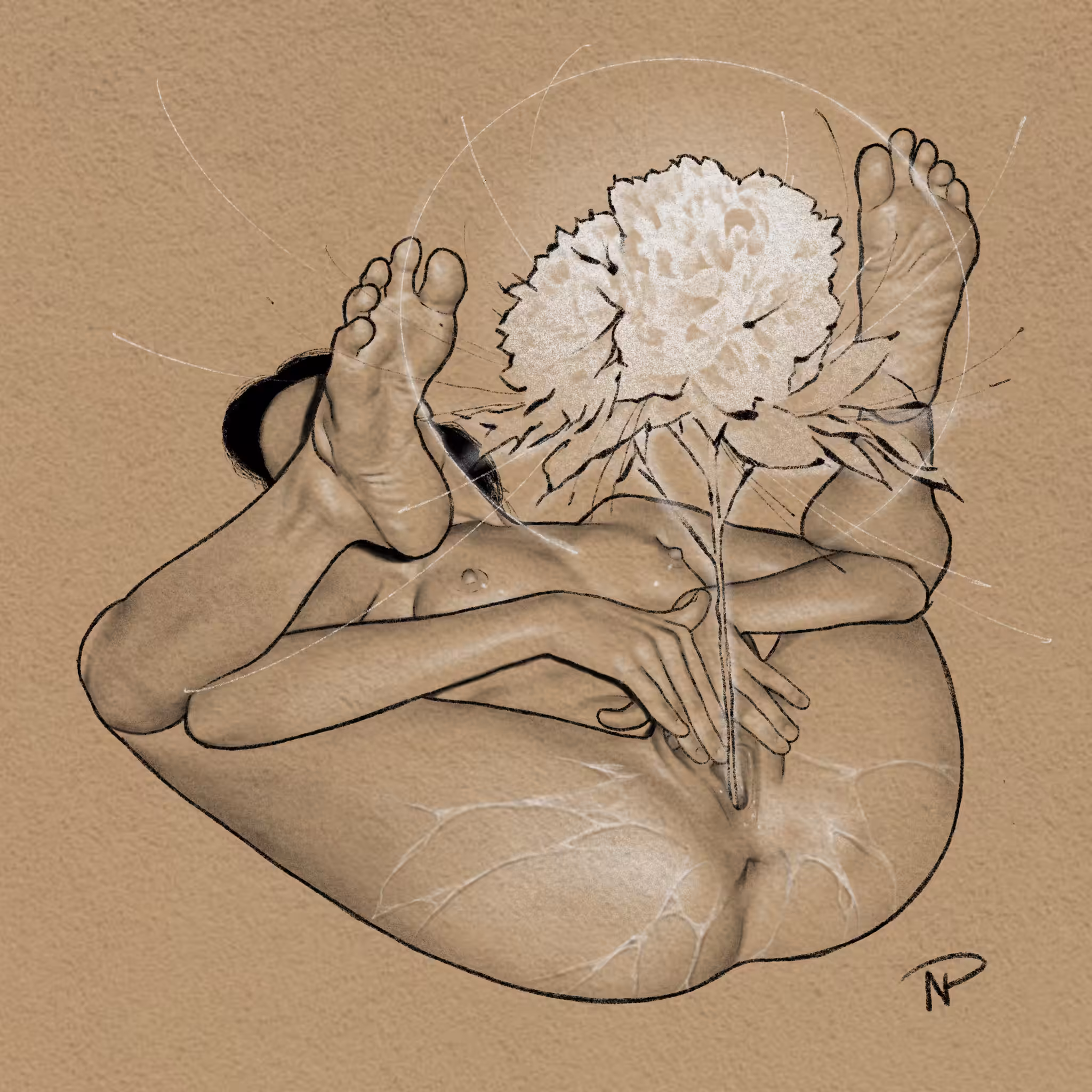Bloom