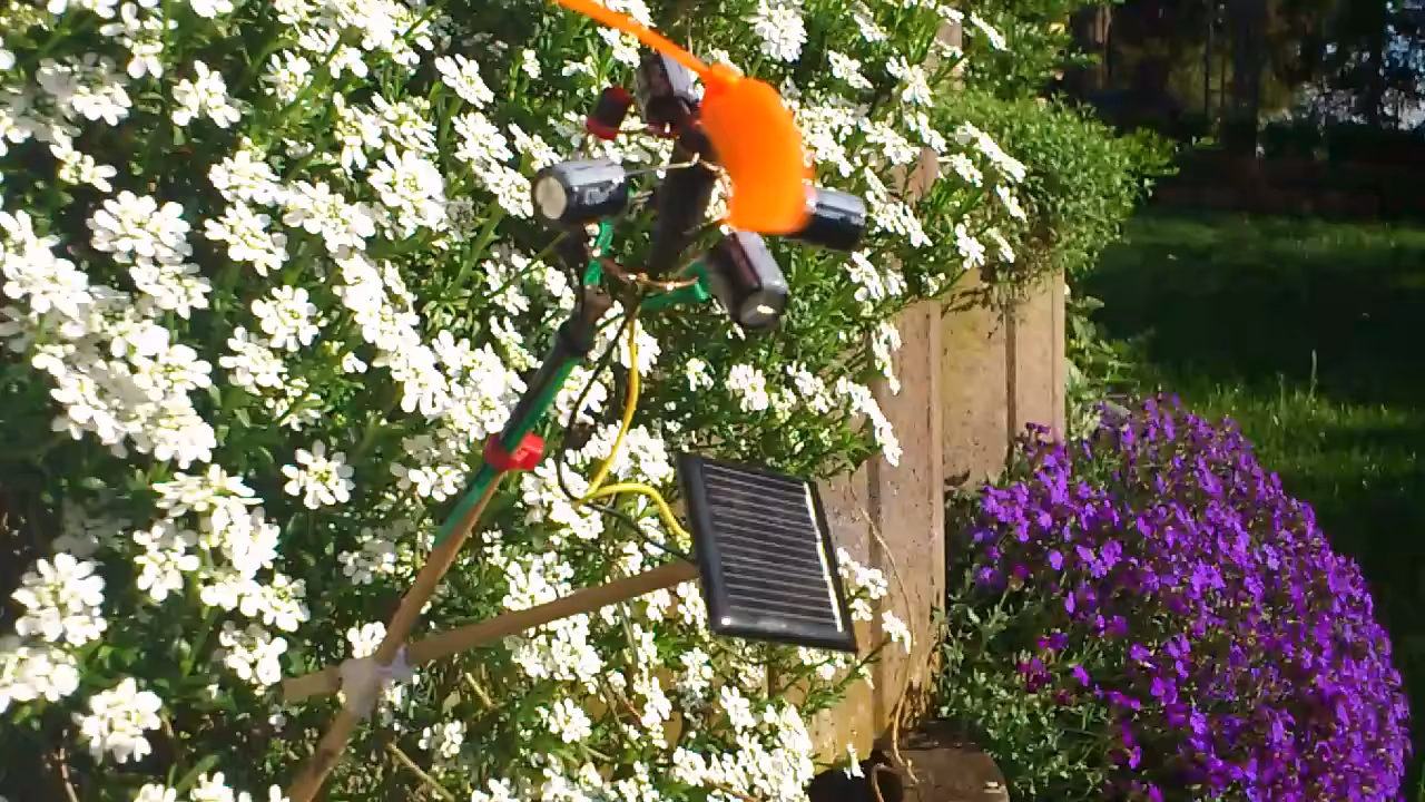 flowerpower