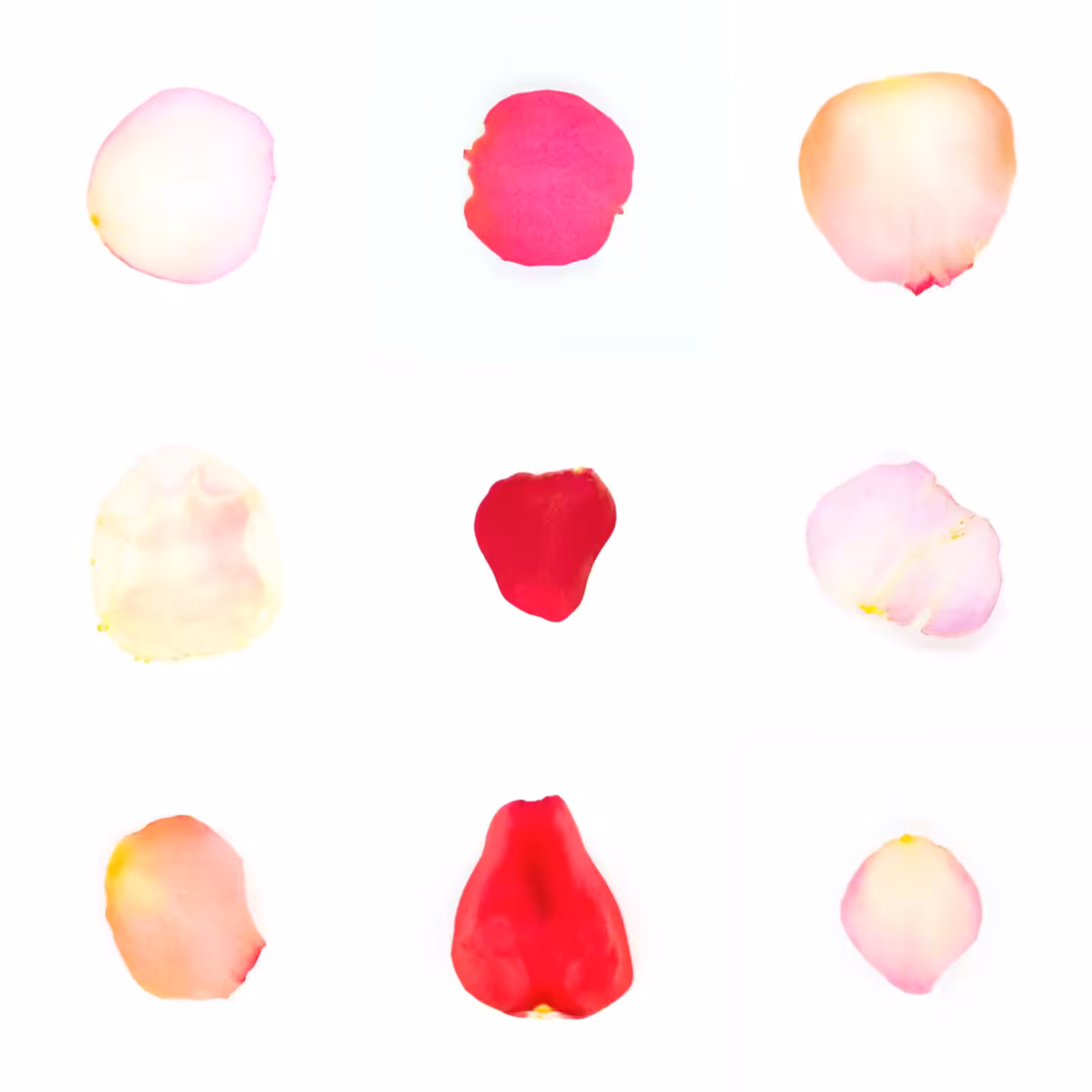 Infinite Petals 3x3#1414