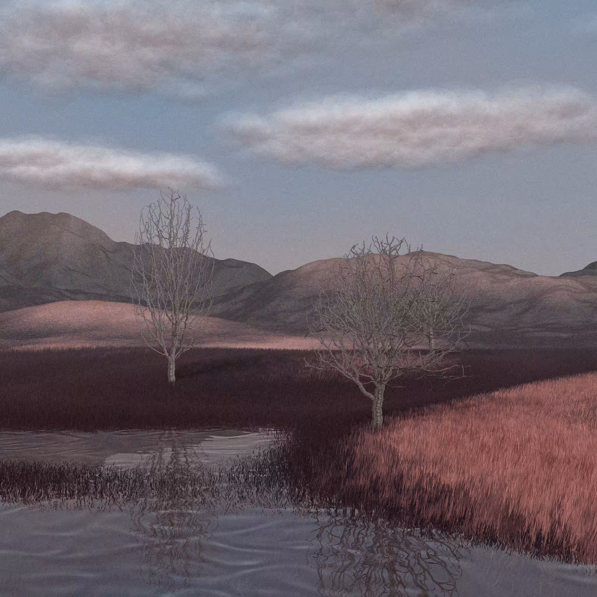 Landscapes out of my mind #223