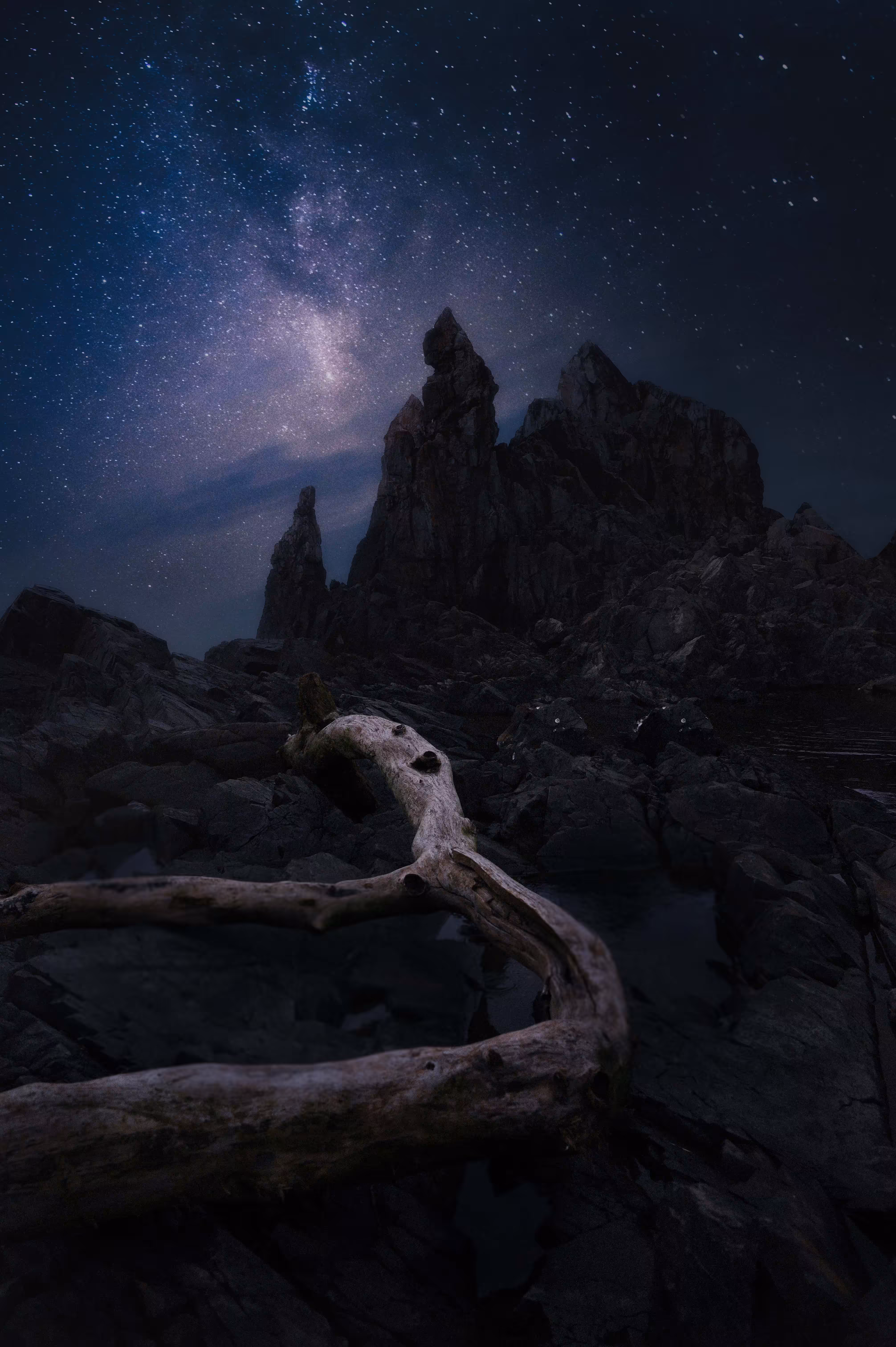 The universe