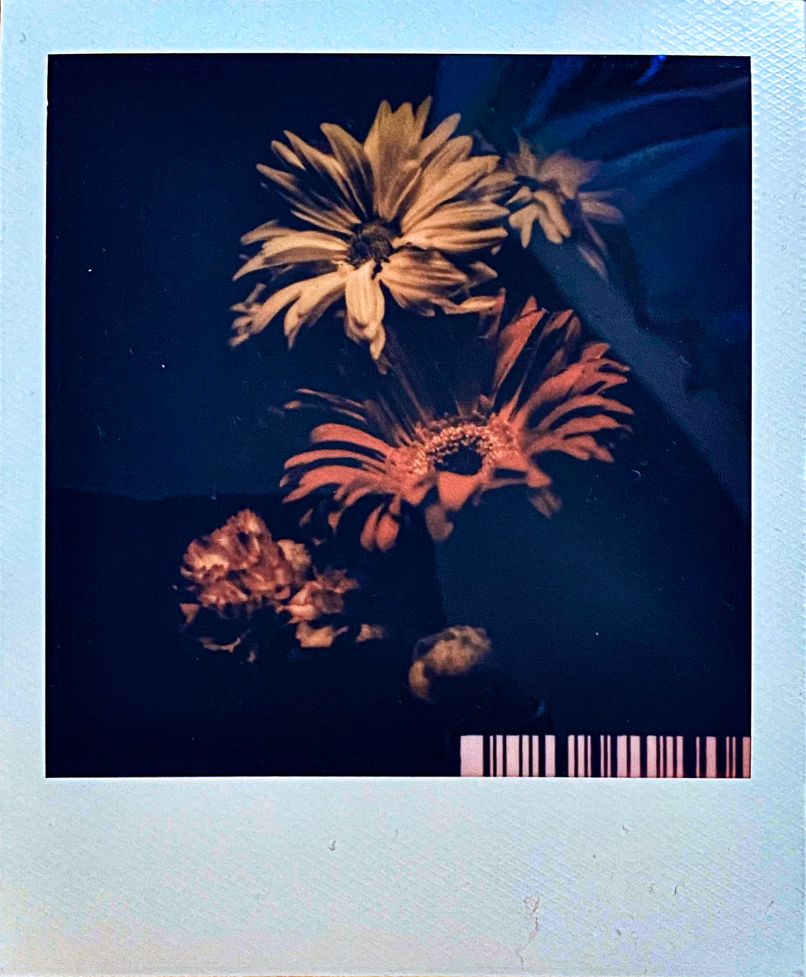Le Fleur