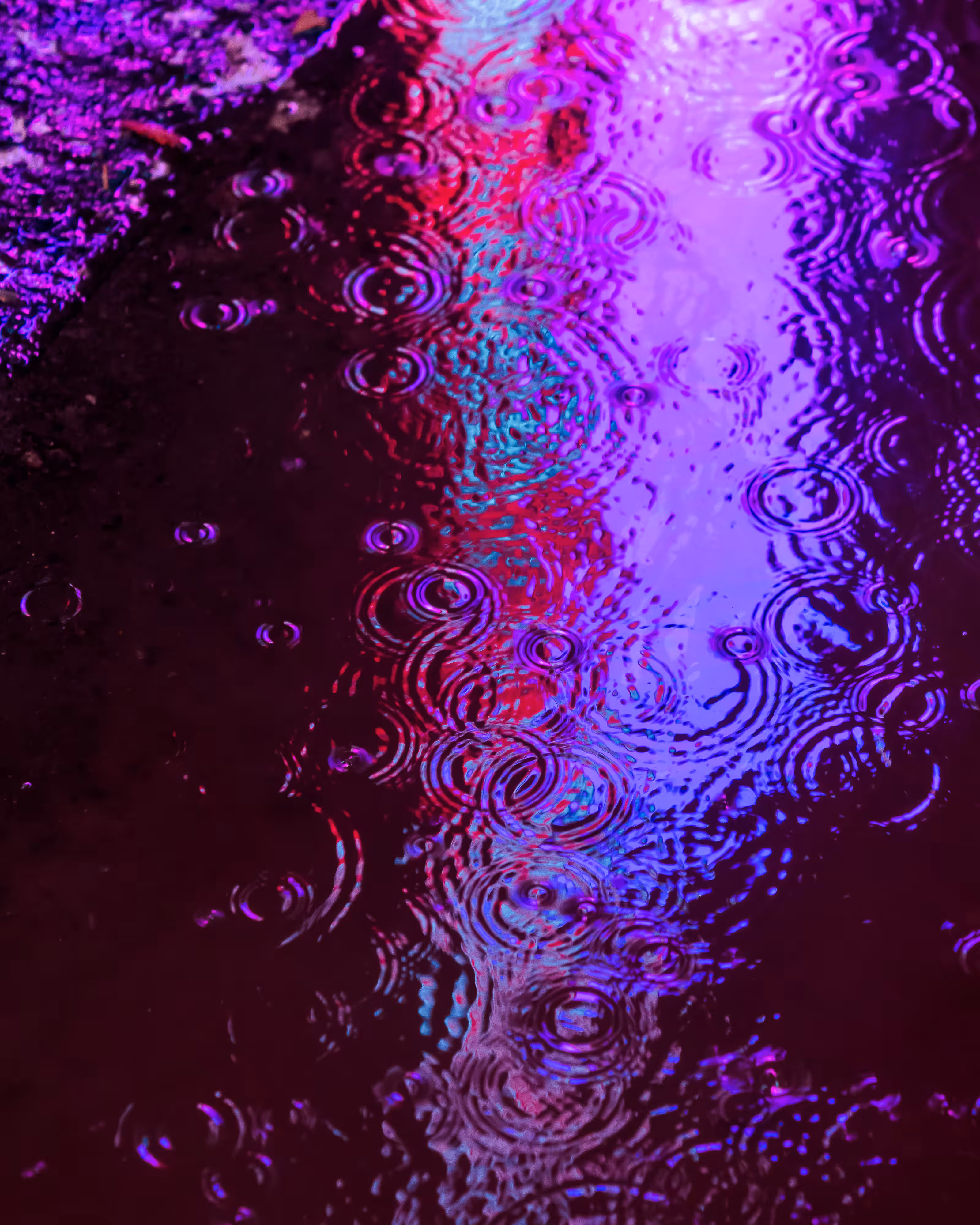 DRIP DROP: DRIP #469