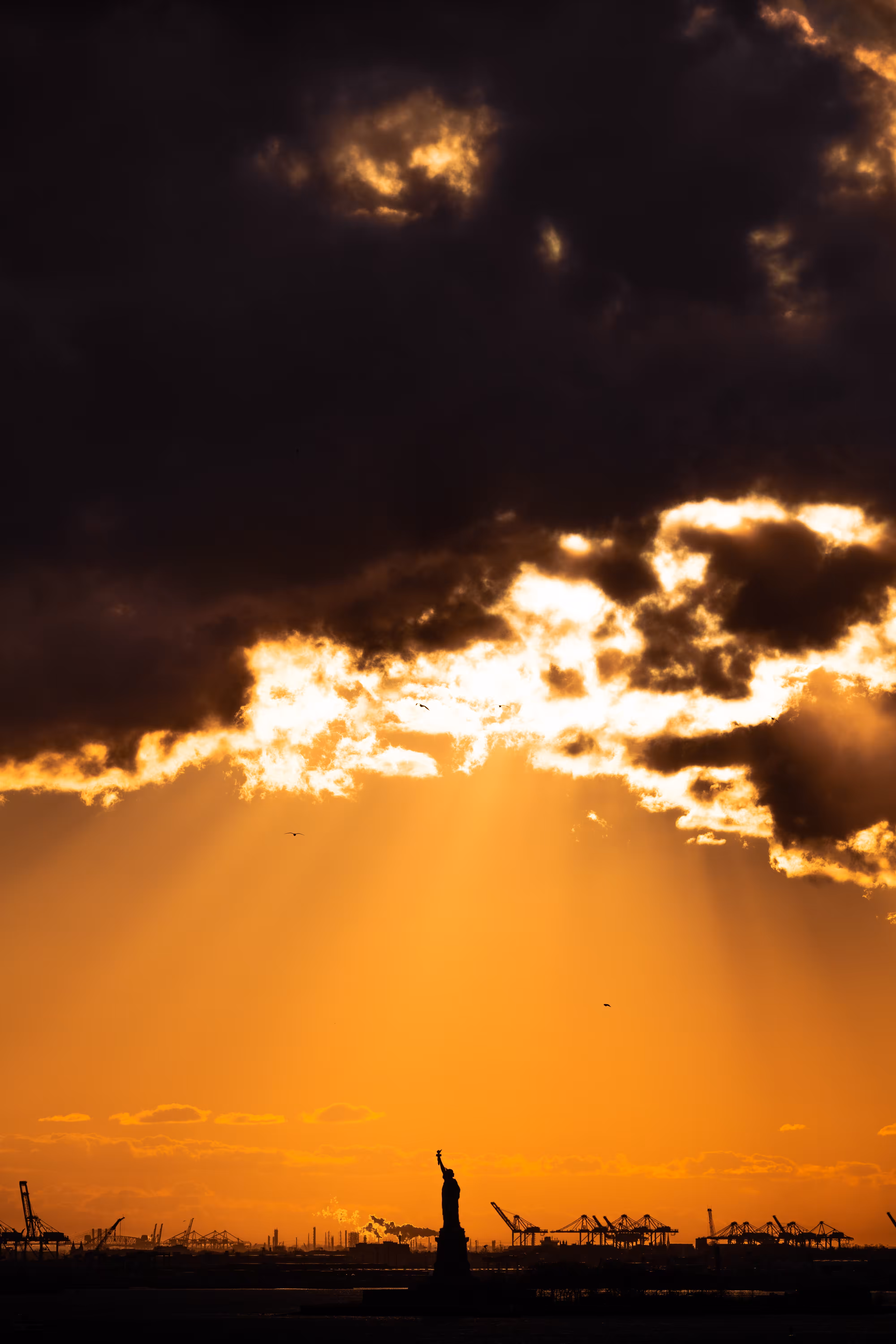 Drowned in Gold