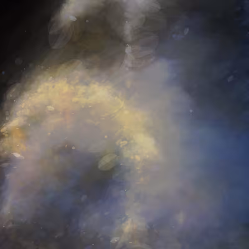 symphony redux #157