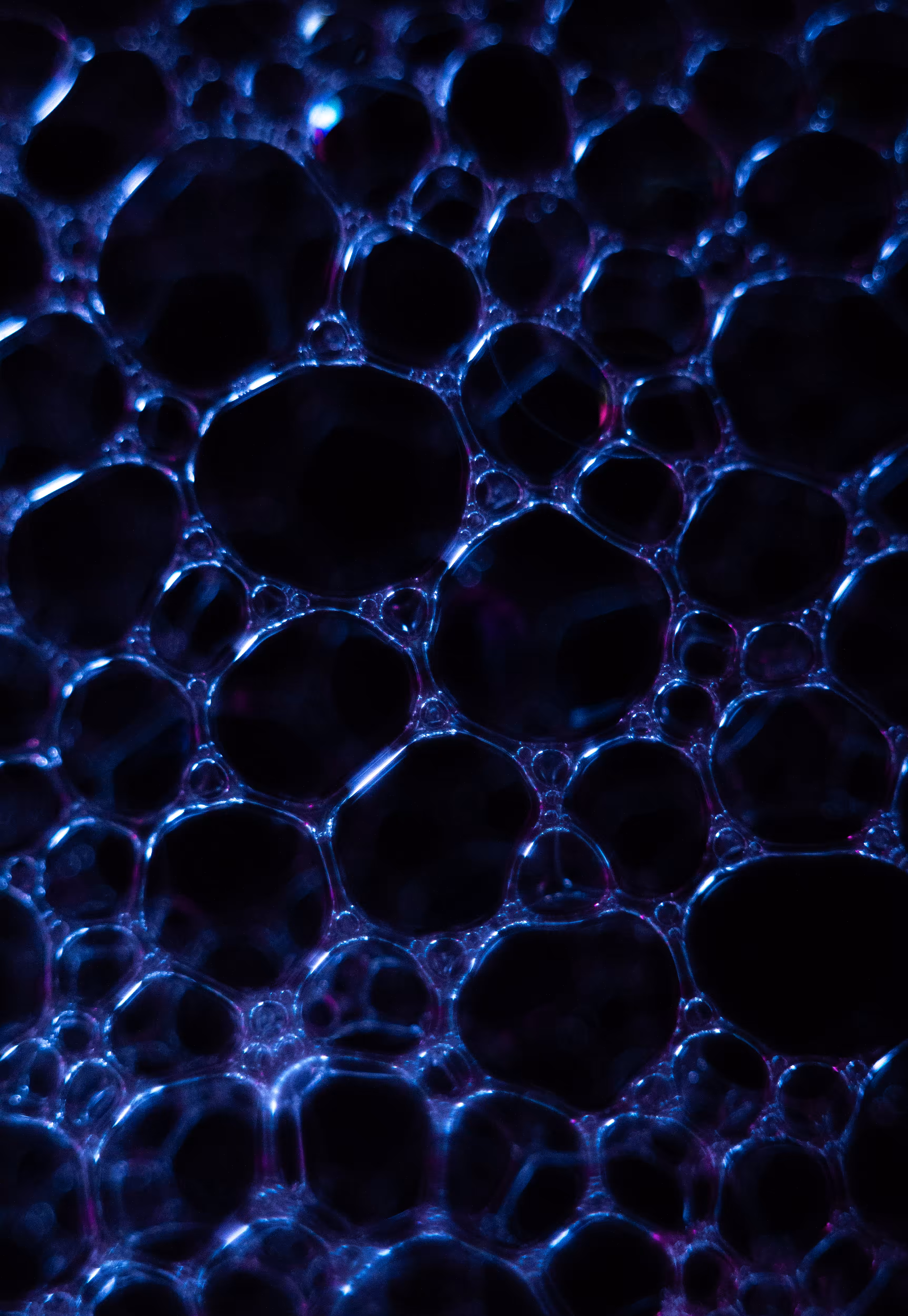 #222 Bubbles