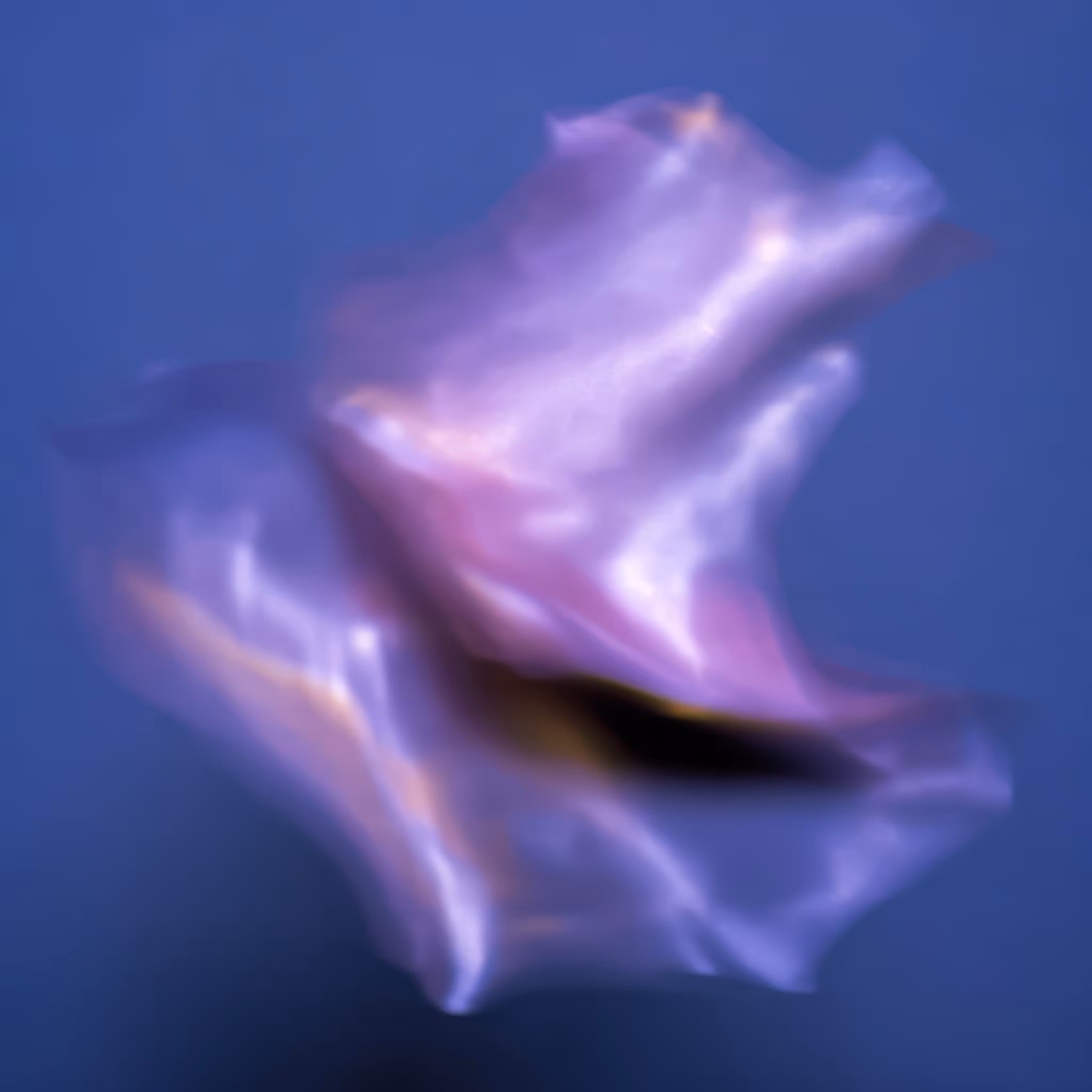 Perceptual Matter