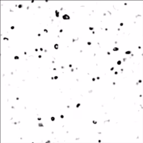 non-equilibrium bubbles: 1