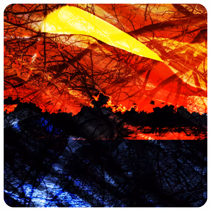 savedScapes #49