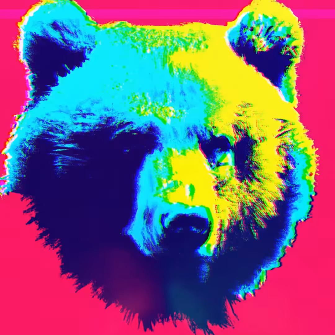 BROWN BEAR - SA#001