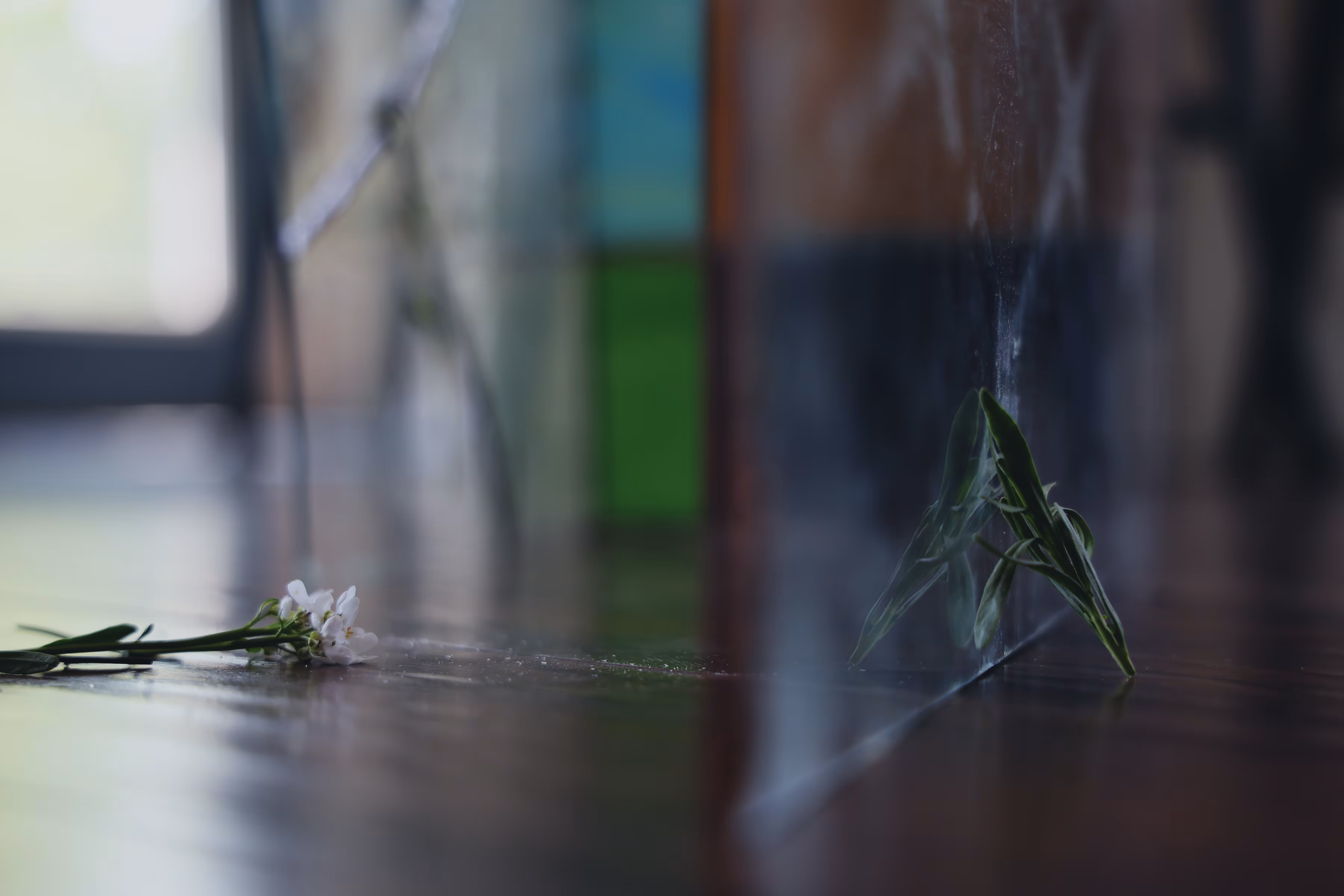 _tragedy