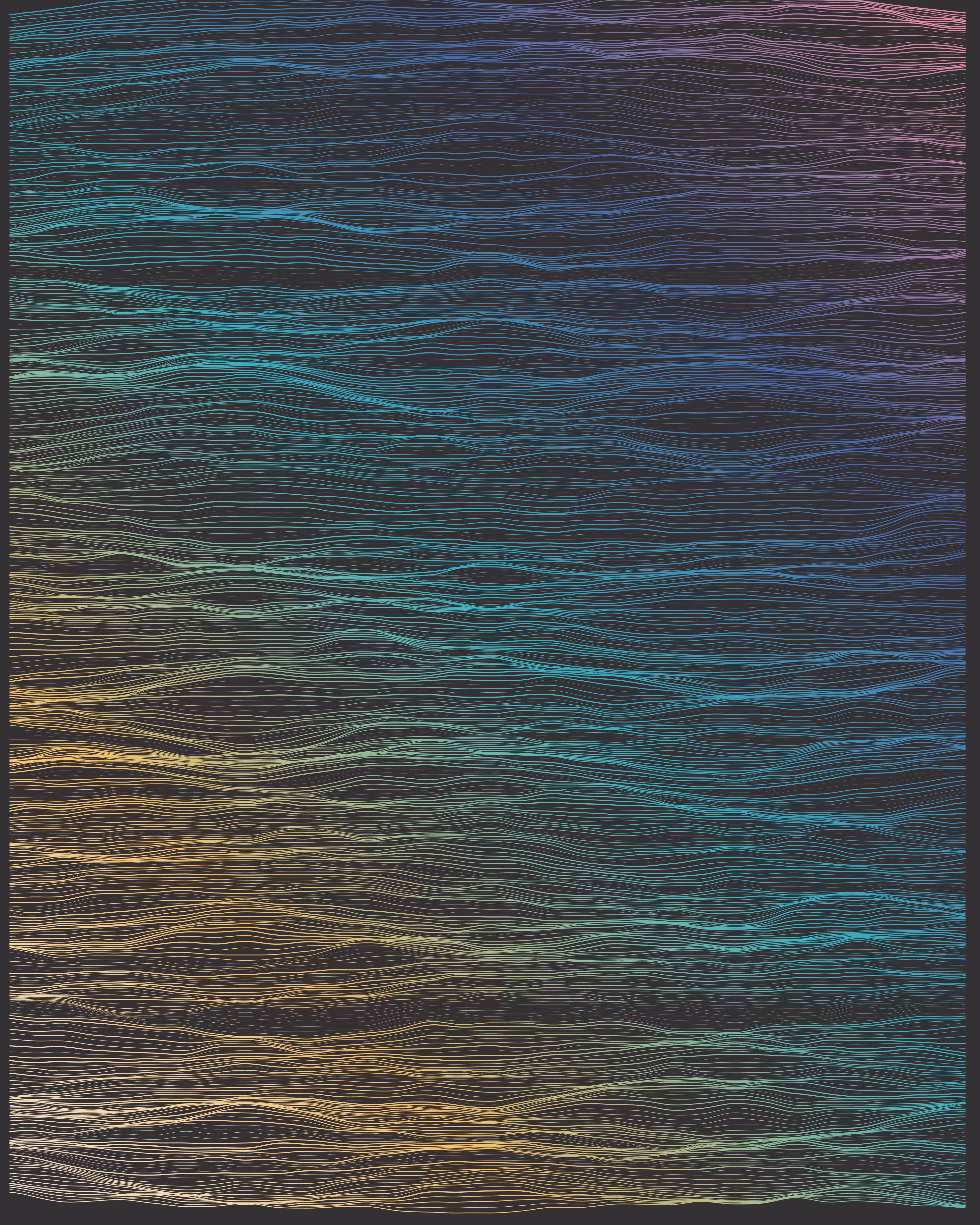 Dynamic Fields #003