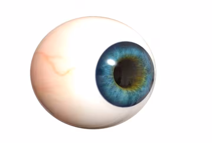 Human Eye