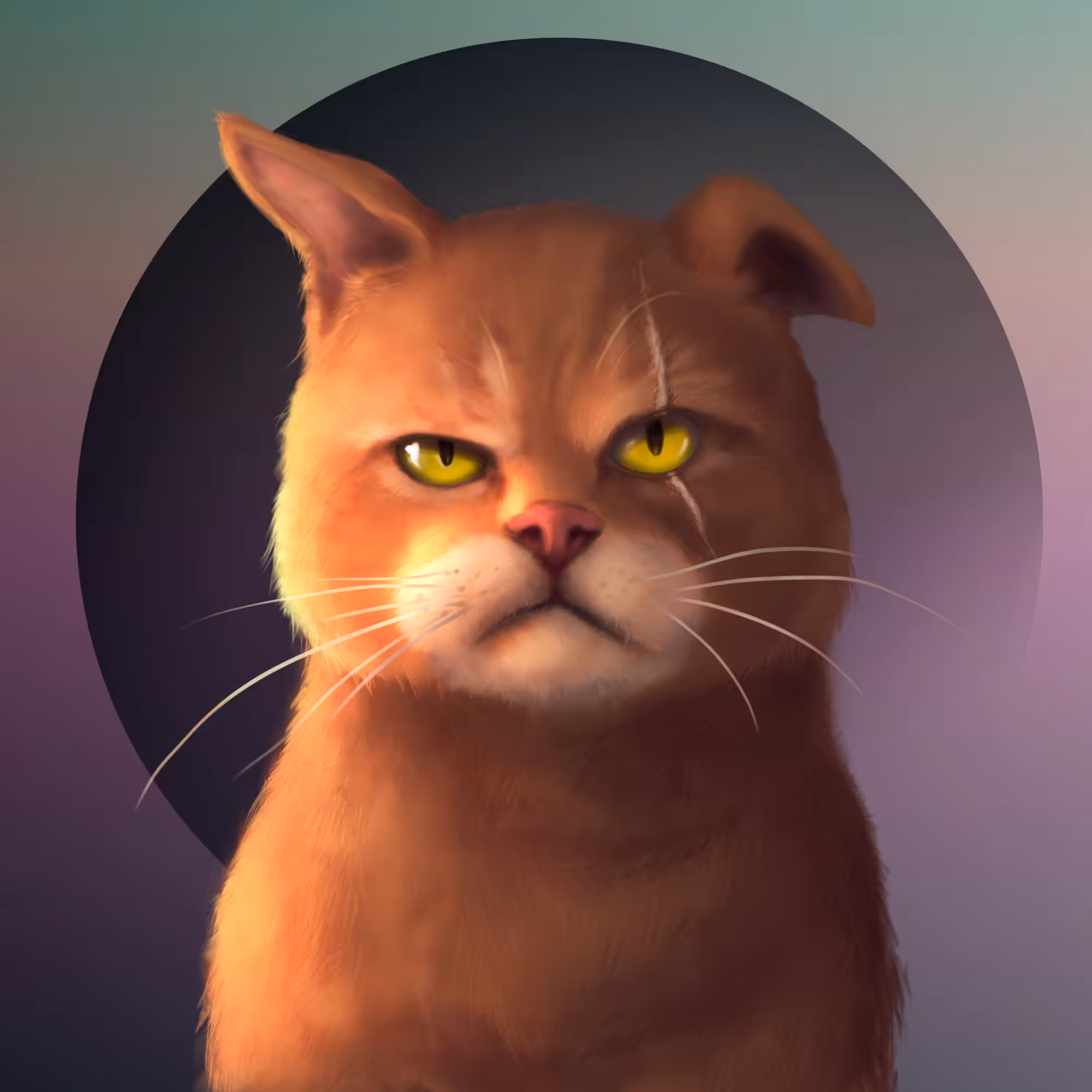 Gangsta Cat #2