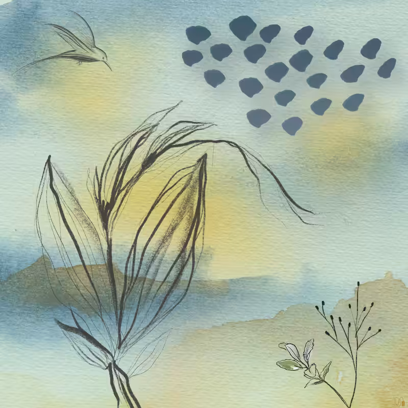Remember Nature #2