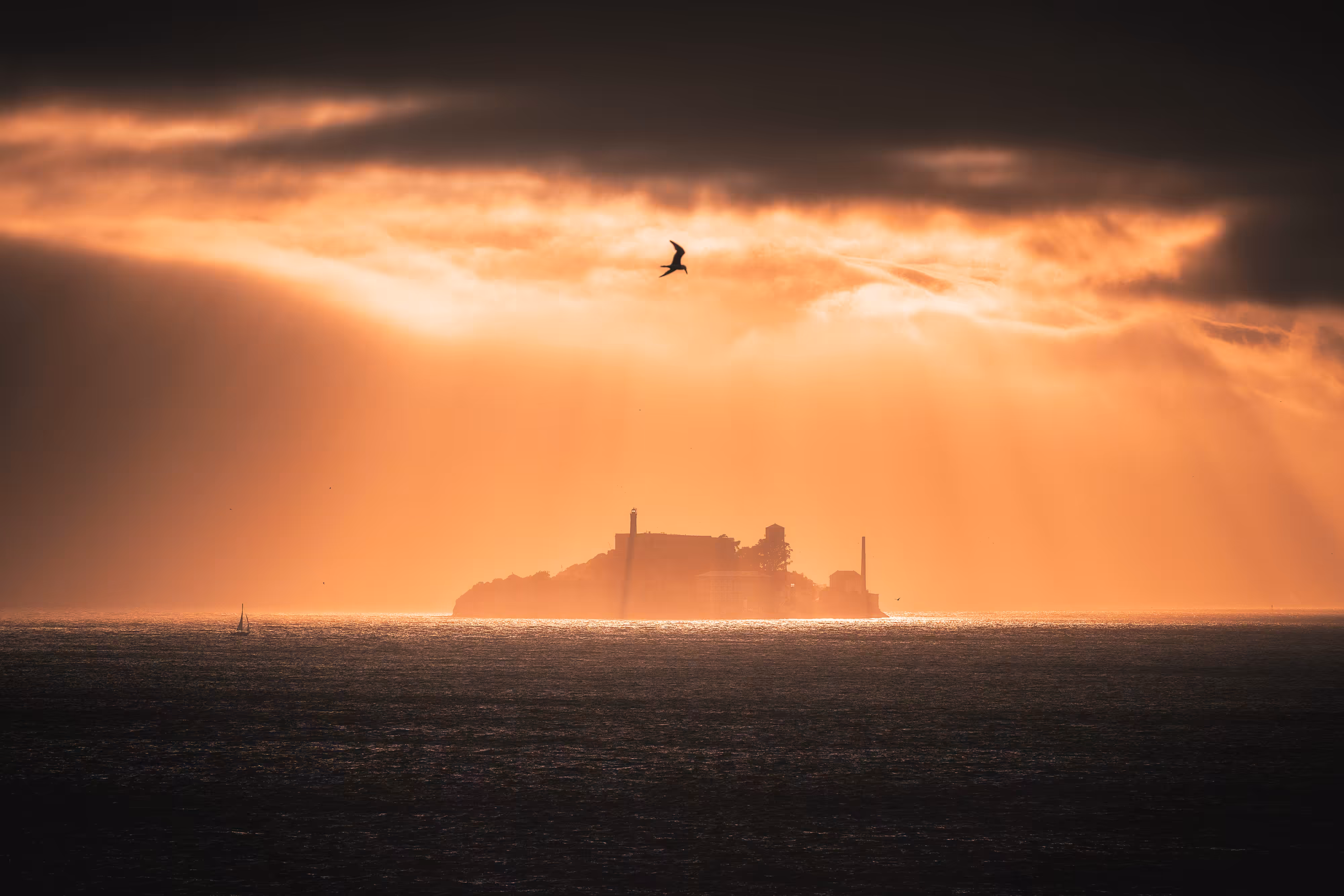 Bay Beginnings #42 // Alcatraz