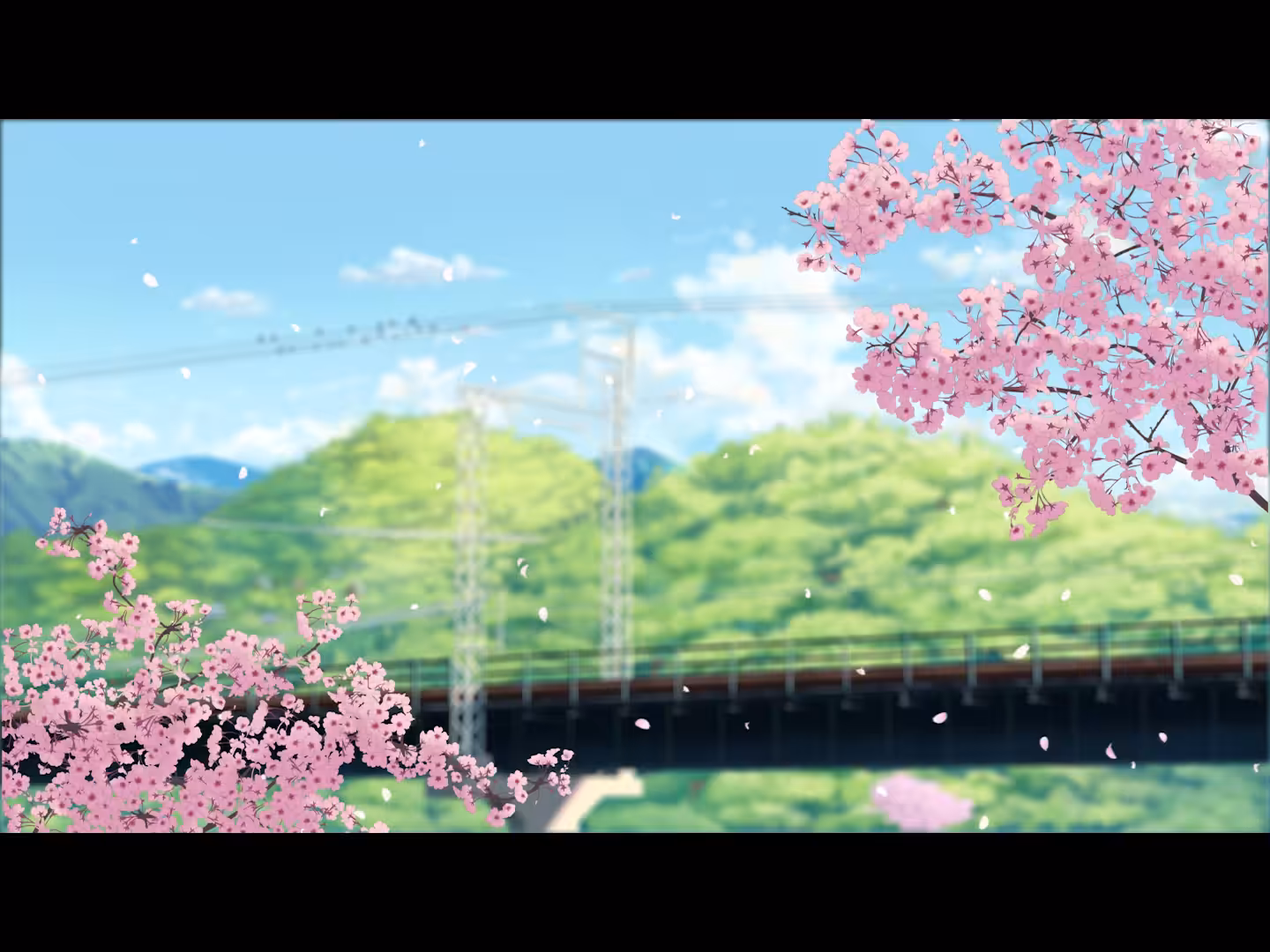 Cherry blossom train ride