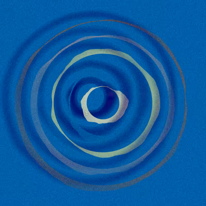 Tree Rings #5