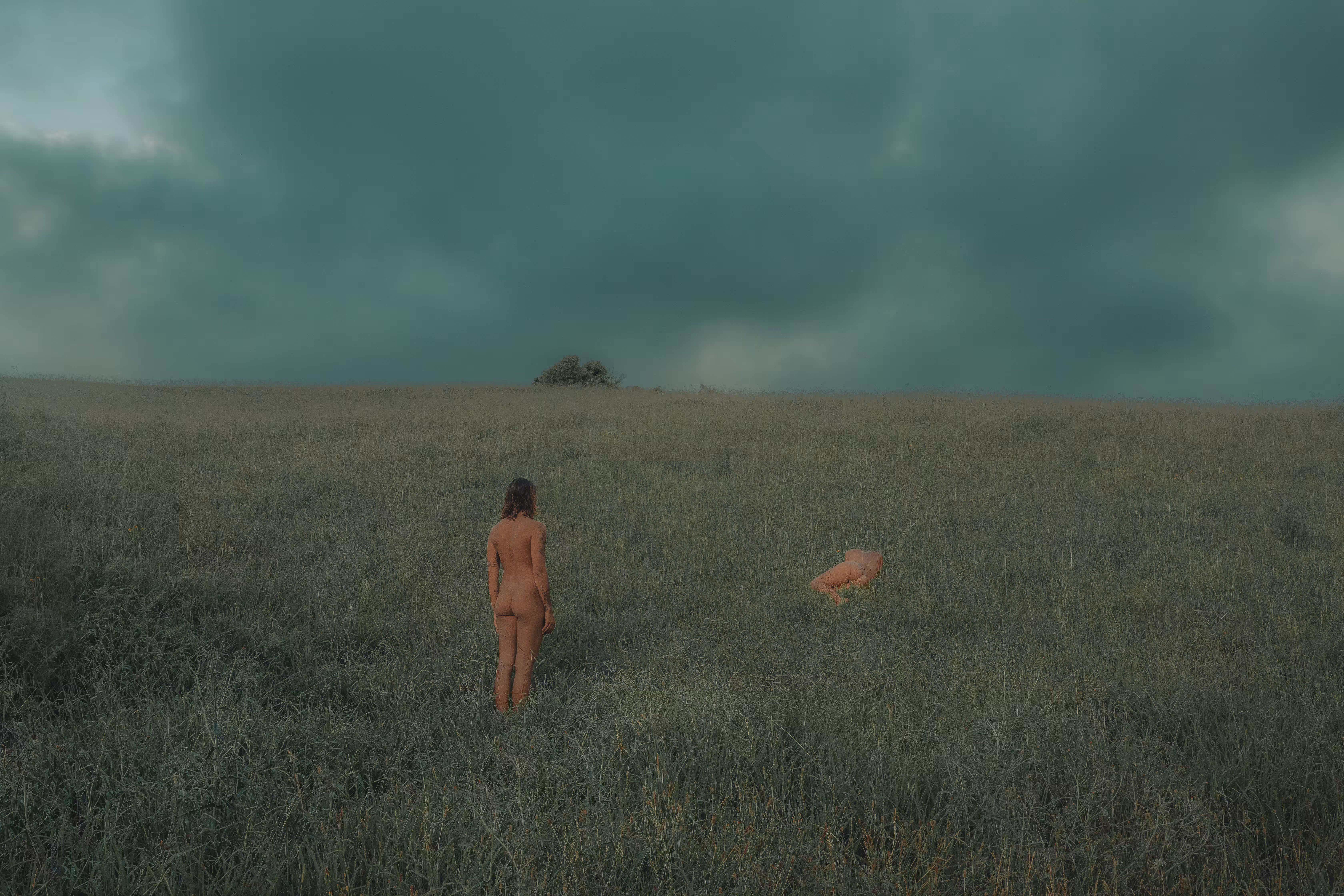 Field Of Thought