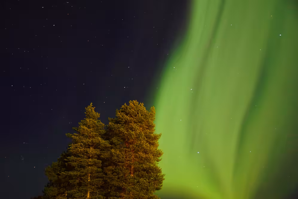 Light in the sky 1