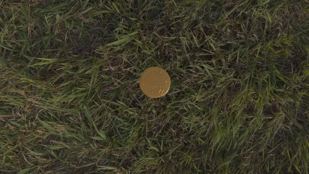 Toss